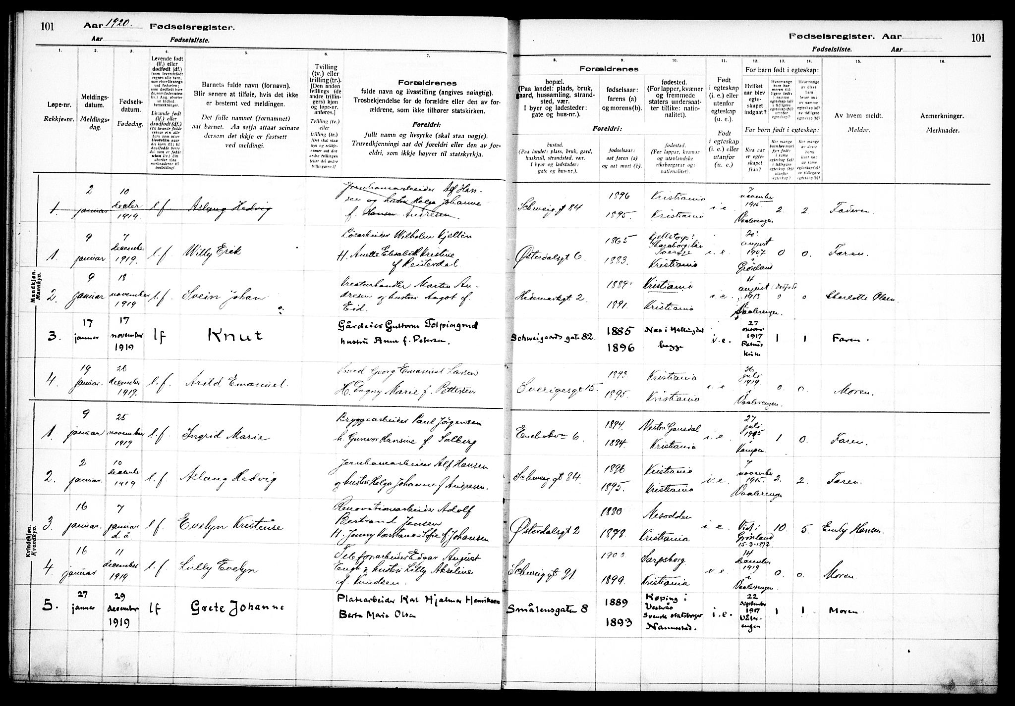 Vålerengen prestekontor Kirkebøker, SAO/A-10878/J/Ja/L0001: Birth register no. 1, 1916-1924, p. 101