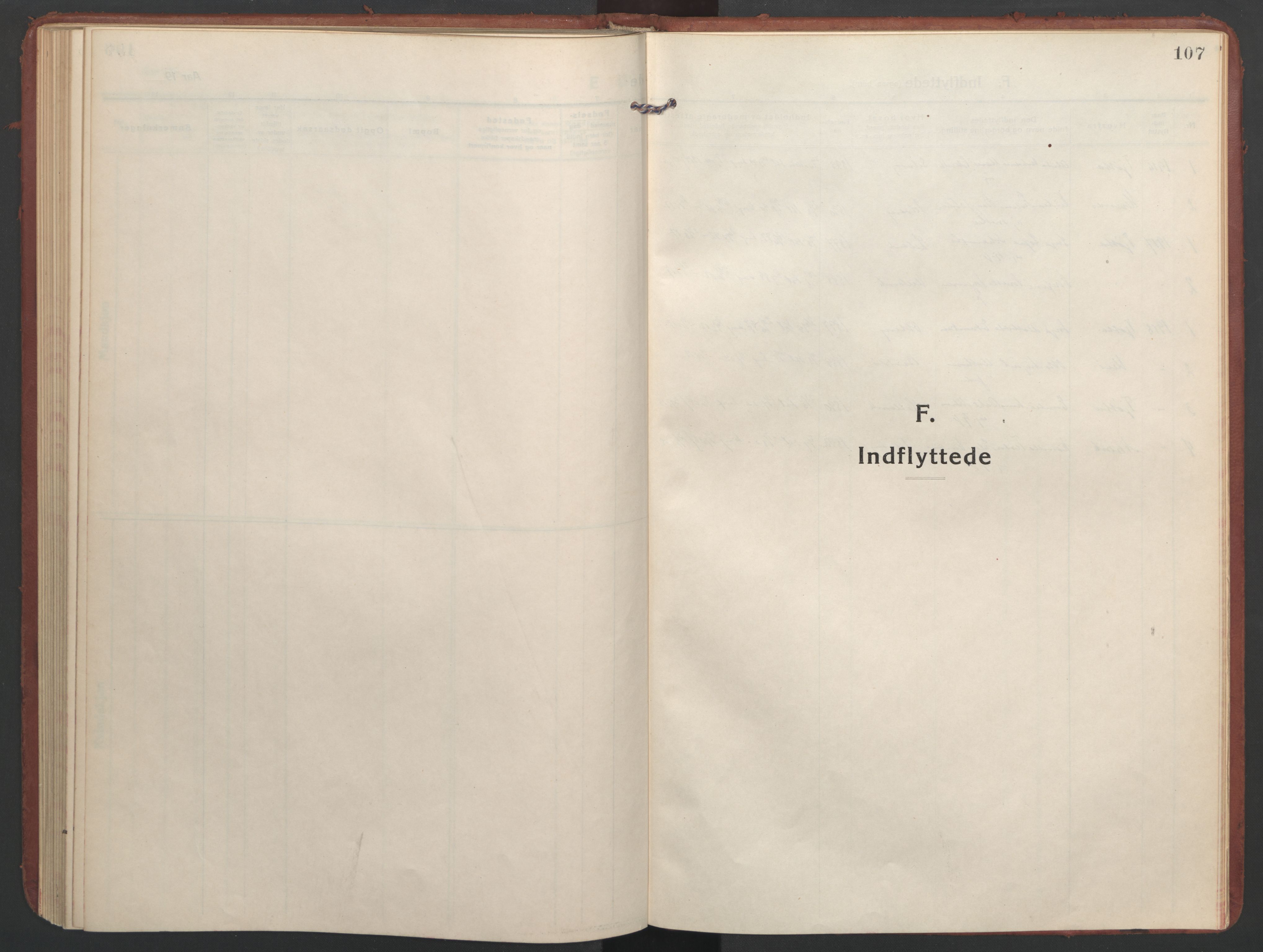 Ministerialprotokoller, klokkerbøker og fødselsregistre - Nordland, SAT/A-1459/832/L0492: Parish register (official) no. 832A01, 1916-1934, p. 107