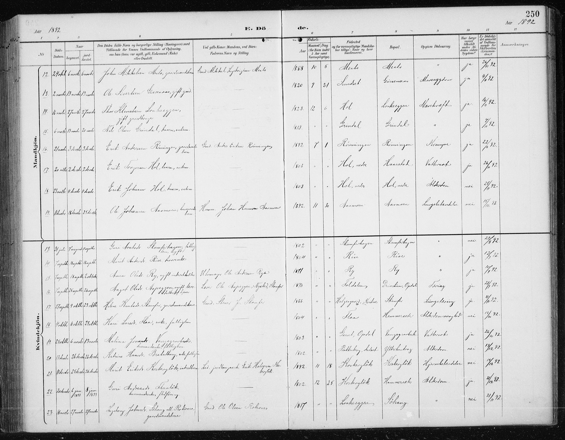 Ministerialprotokoller, klokkerbøker og fødselsregistre - Sør-Trøndelag, AV/SAT-A-1456/674/L0876: Parish register (copy) no. 674C03, 1892-1912, p. 250