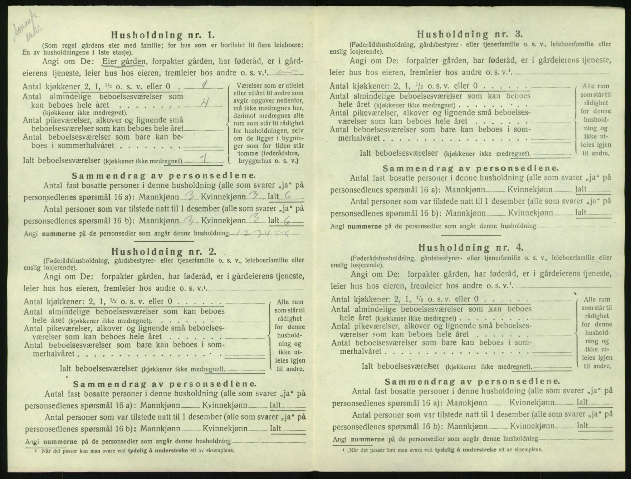 SAK, 1920 census for Nes (V-A), 1920, p. 1027