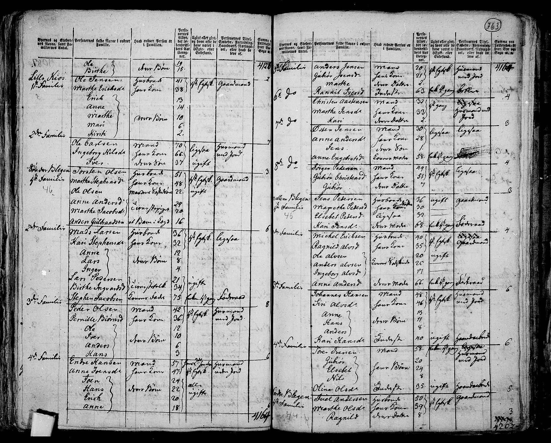 RA, 1801 census for 0534P Gran, 1801, p. 762b-763a