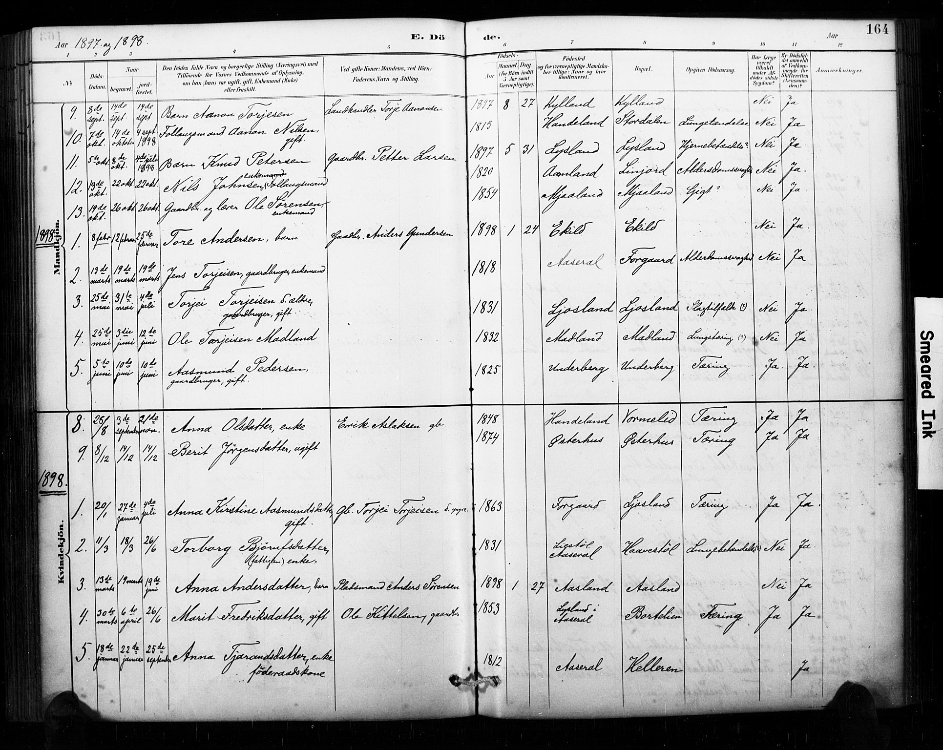 Åseral sokneprestkontor, AV/SAK-1111-0051/F/Fa/L0003: Parish register (official) no. A 3, 1884-1901, p. 164