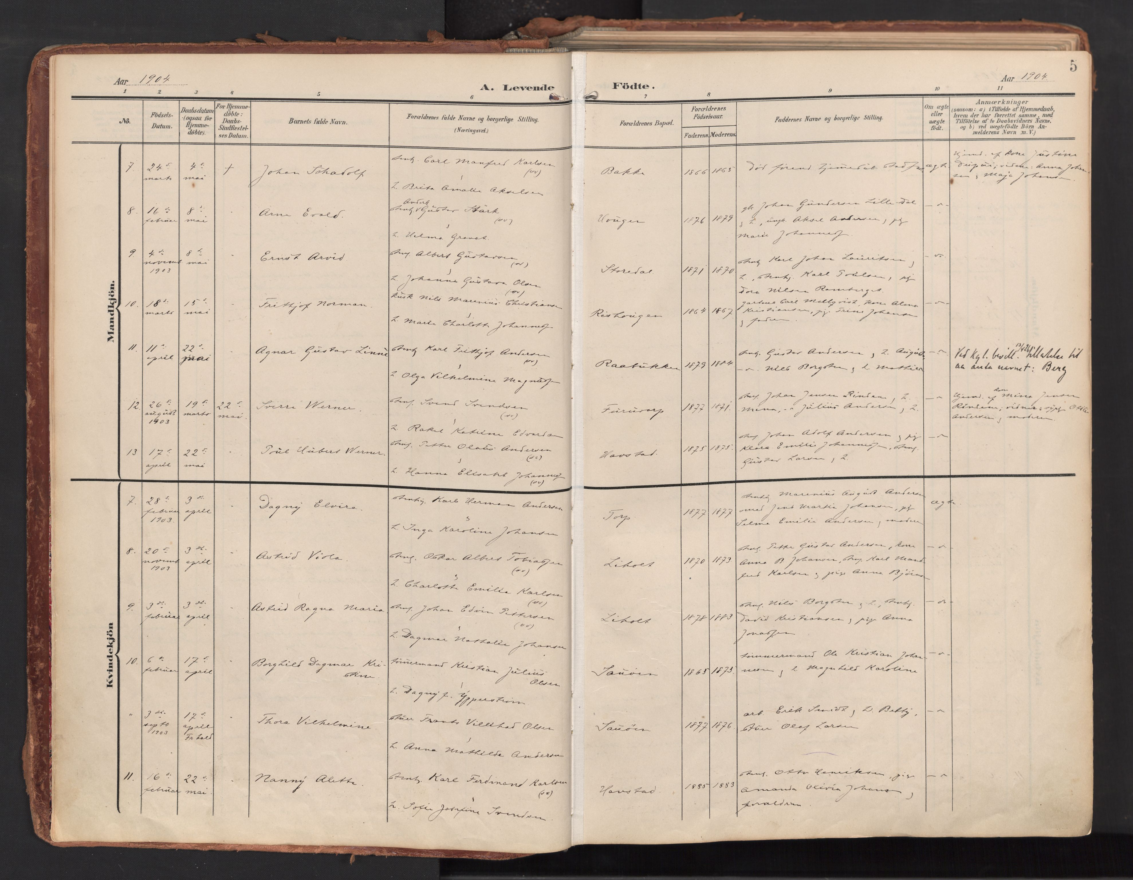 Idd prestekontor Kirkebøker, SAO/A-10911/F/Fc/L0007: Parish register (official) no. III 7, 1904-1925, p. 5