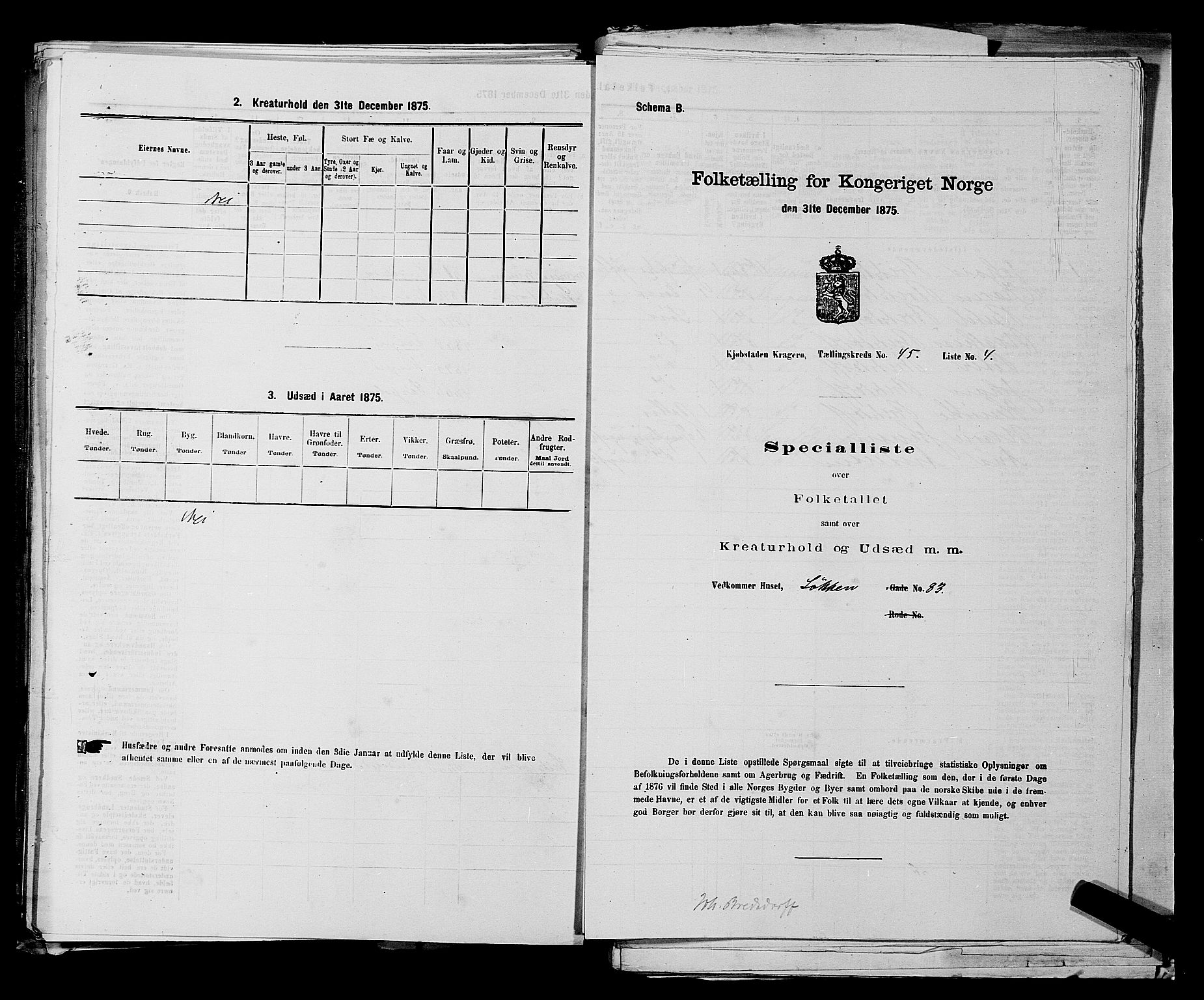 SAKO, 1875 census for 0801P Kragerø, 1875, p. 995