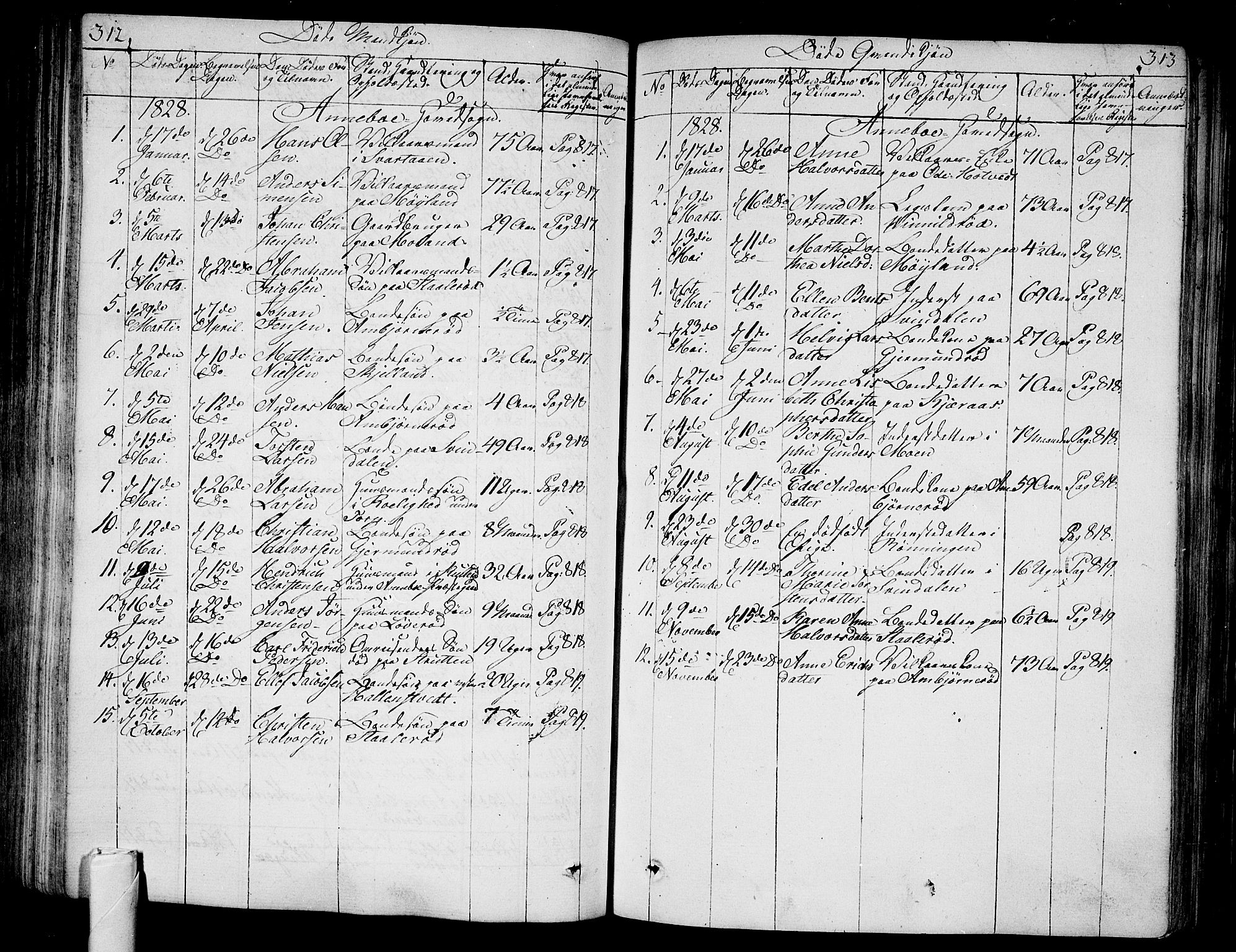 Andebu kirkebøker, SAKO/A-336/F/Fa/L0003: Parish register (official) no. 3 /1, 1803-1828, p. 312-313