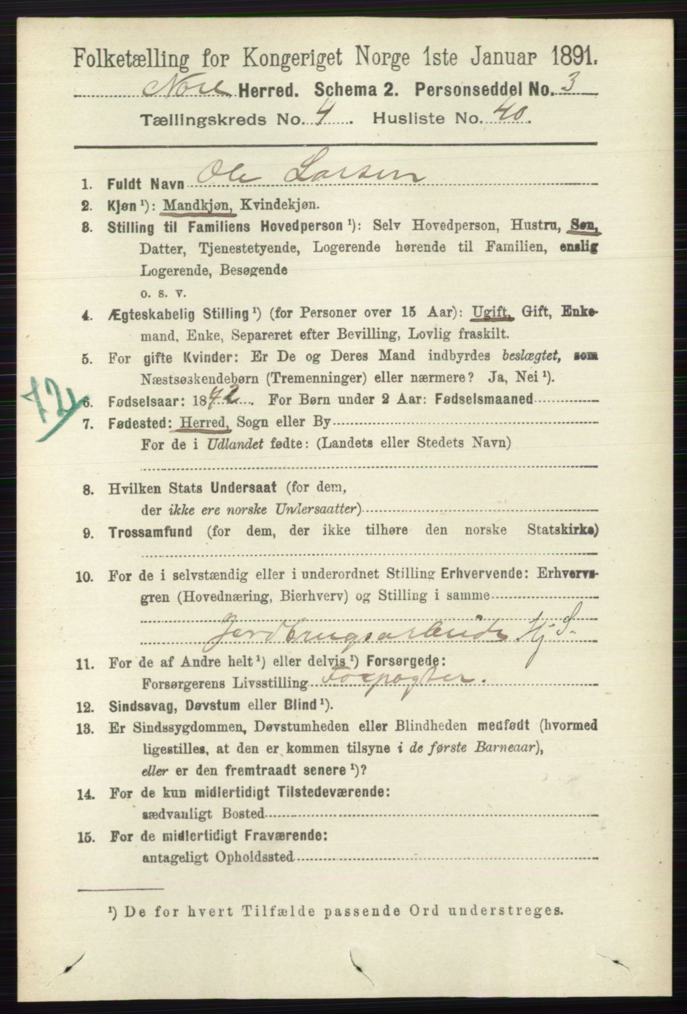 RA, 1891 census for 0633 Nore, 1891, p. 1501