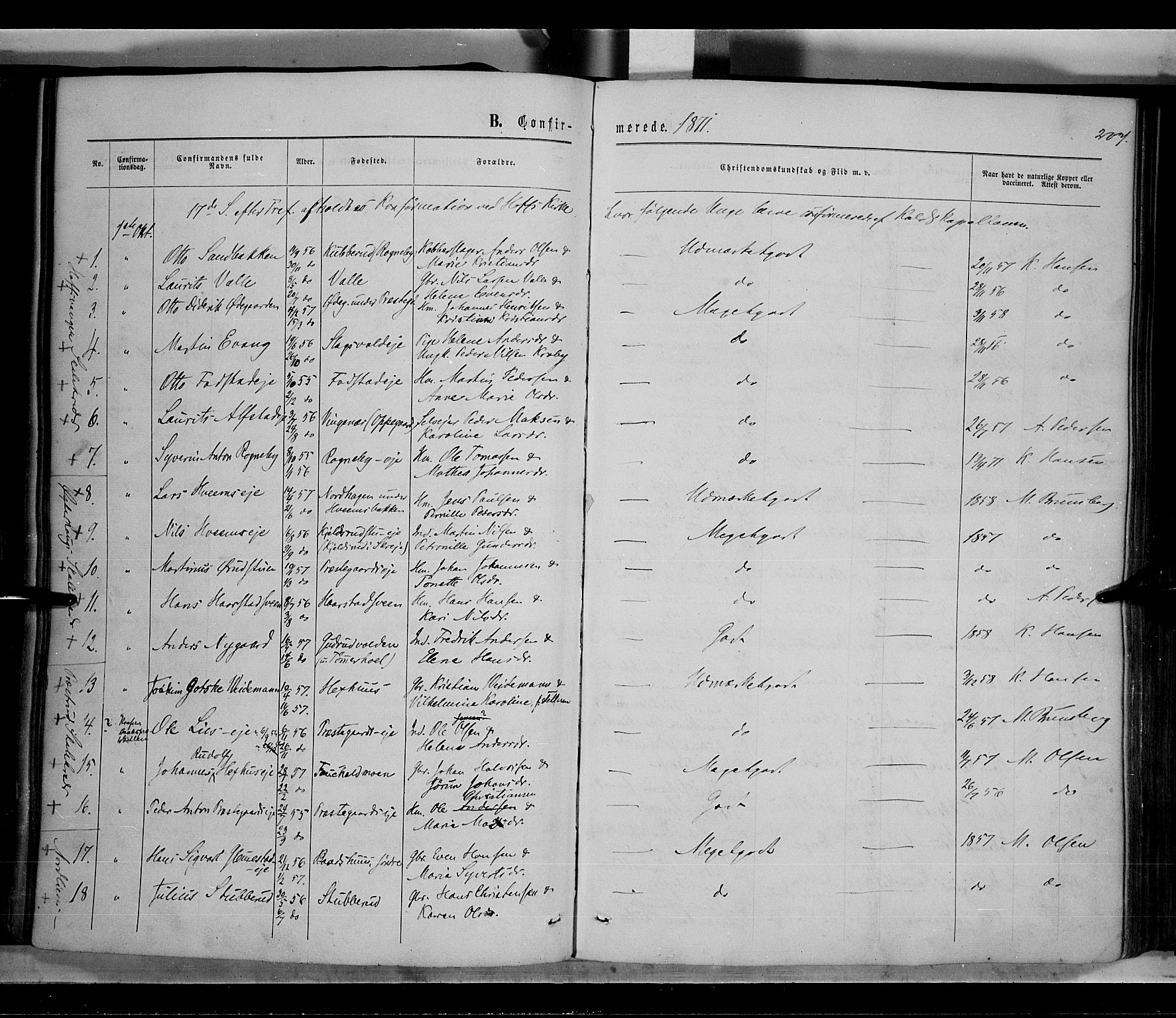 Østre Toten prestekontor, AV/SAH-PREST-104/H/Ha/Haa/L0005: Parish register (official) no. 5, 1866-1877, p. 207