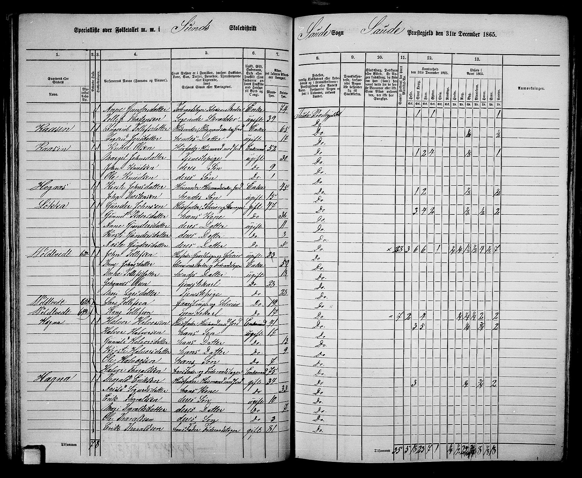 RA, 1865 census for Sauherad, 1865, p. 54