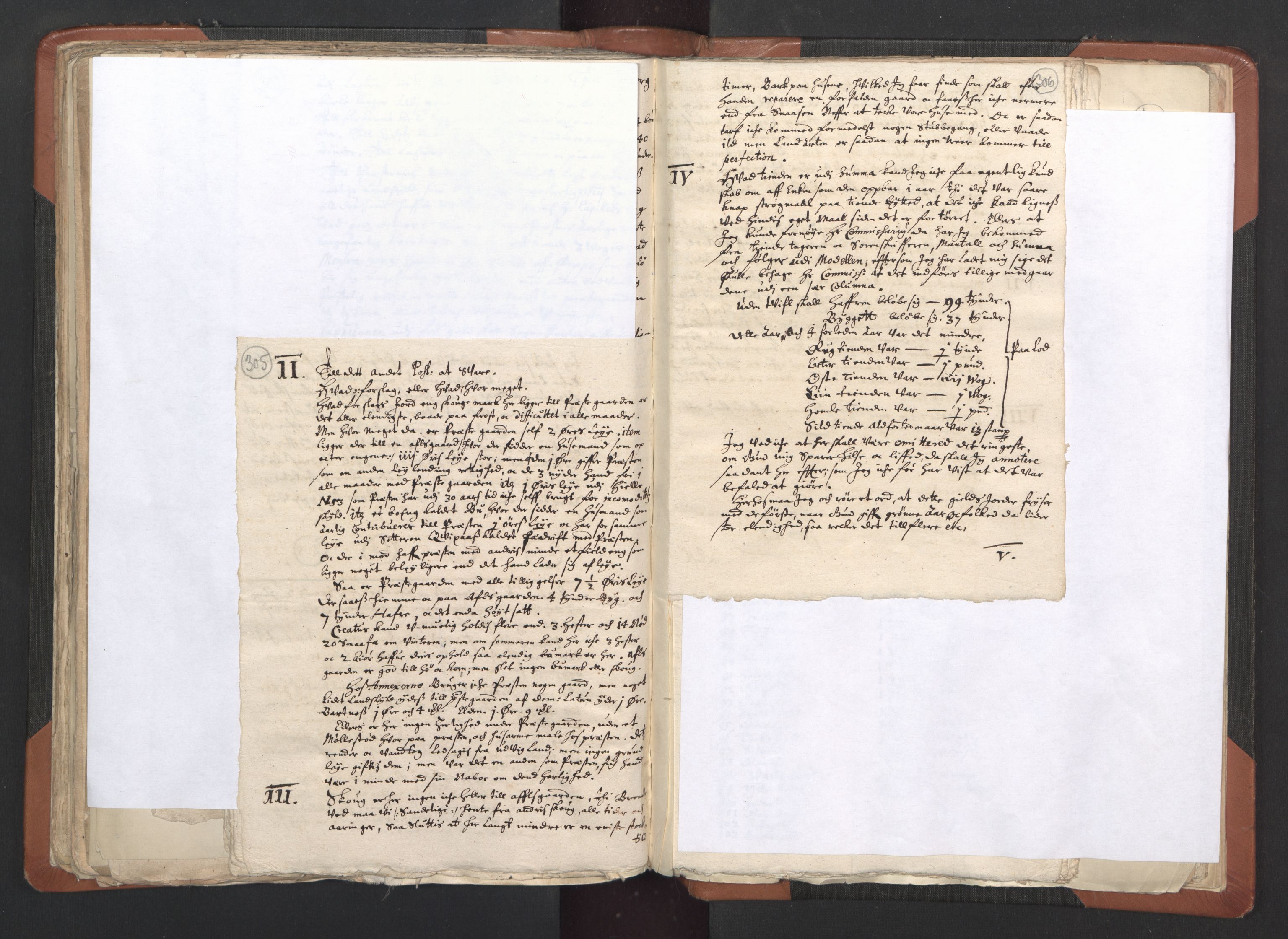 RA, Vicar's Census 1664-1666, no. 33: Innherad deanery, 1664-1666, p. 305-306