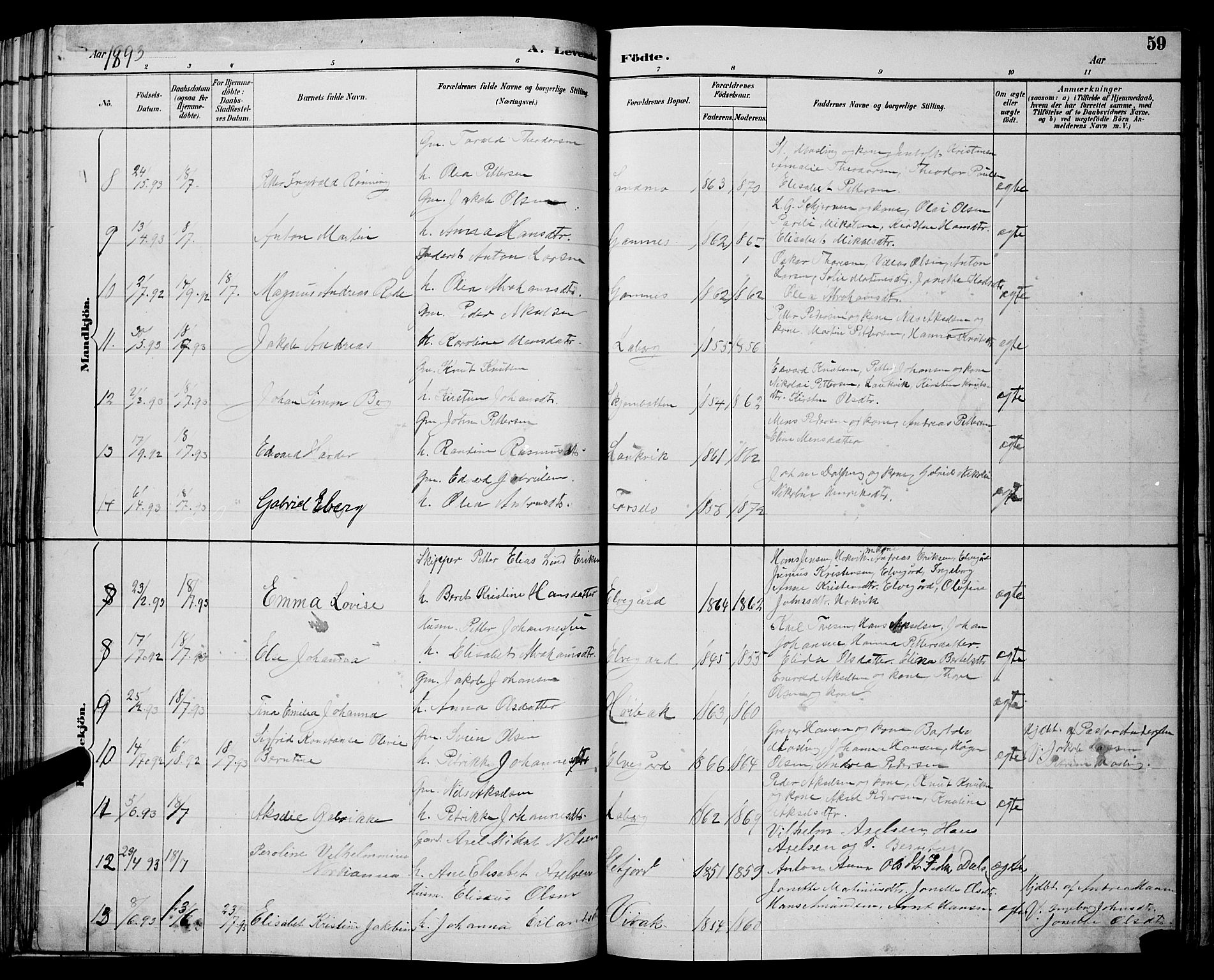 Ministerialprotokoller, klokkerbøker og fødselsregistre - Nordland, AV/SAT-A-1459/866/L0952: Parish register (copy) no. 866C01, 1886-1899, p. 59