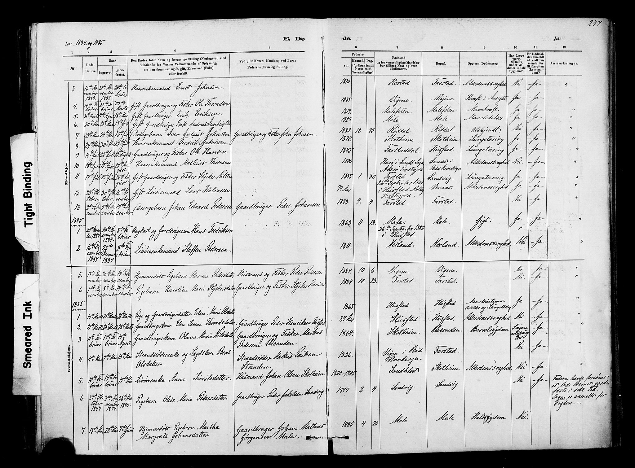 Ministerialprotokoller, klokkerbøker og fødselsregistre - Møre og Romsdal, AV/SAT-A-1454/567/L0778: Parish register (official) no. 567A01, 1881-1903, p. 247