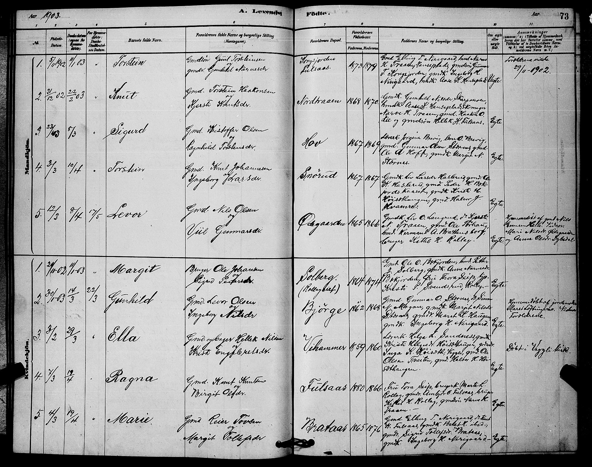 Rollag kirkebøker, SAKO/A-240/G/Ga/L0004: Parish register (copy) no. I 4, 1878-1903, p. 73