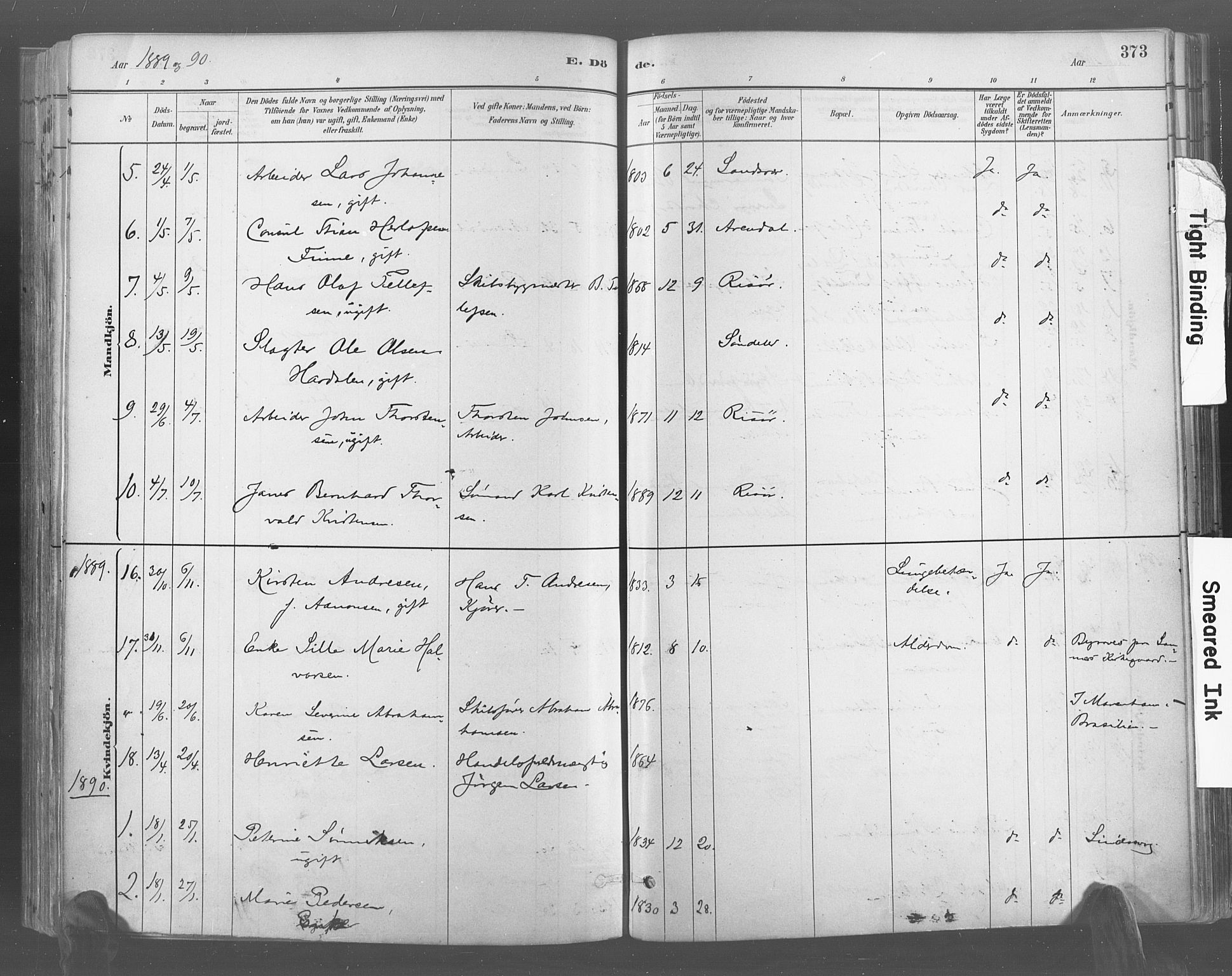 Risør sokneprestkontor, AV/SAK-1111-0035/F/Fa/L0005: Parish register (official) no. A 5, 1883-1895, p. 373