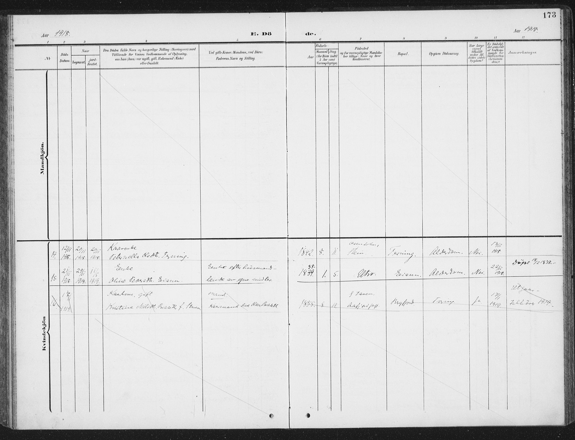 Ministerialprotokoller, klokkerbøker og fødselsregistre - Sør-Trøndelag, AV/SAT-A-1456/657/L0709: Parish register (official) no. 657A10, 1905-1919, p. 173