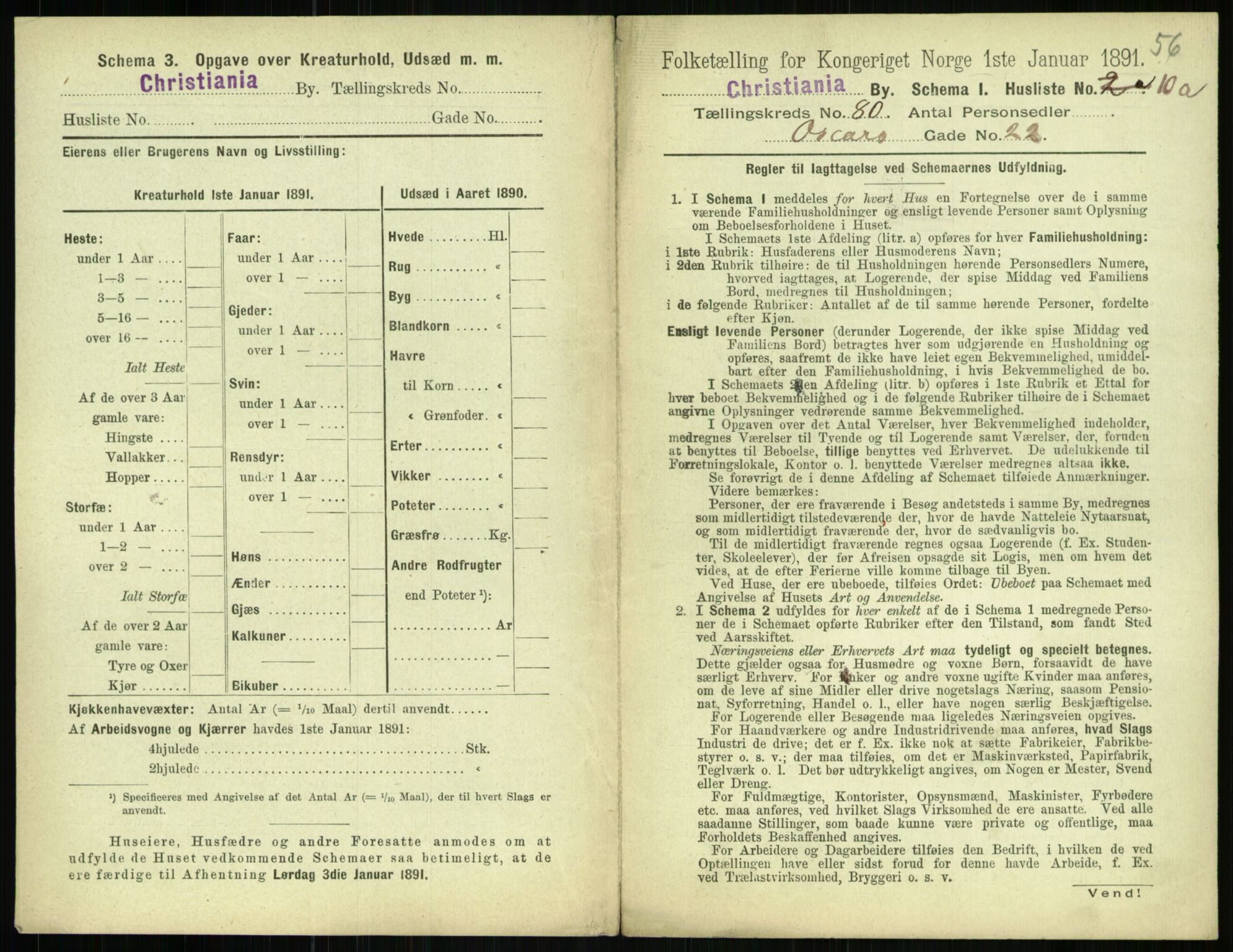 RA, 1891 census for 0301 Kristiania, 1891, p. 41263