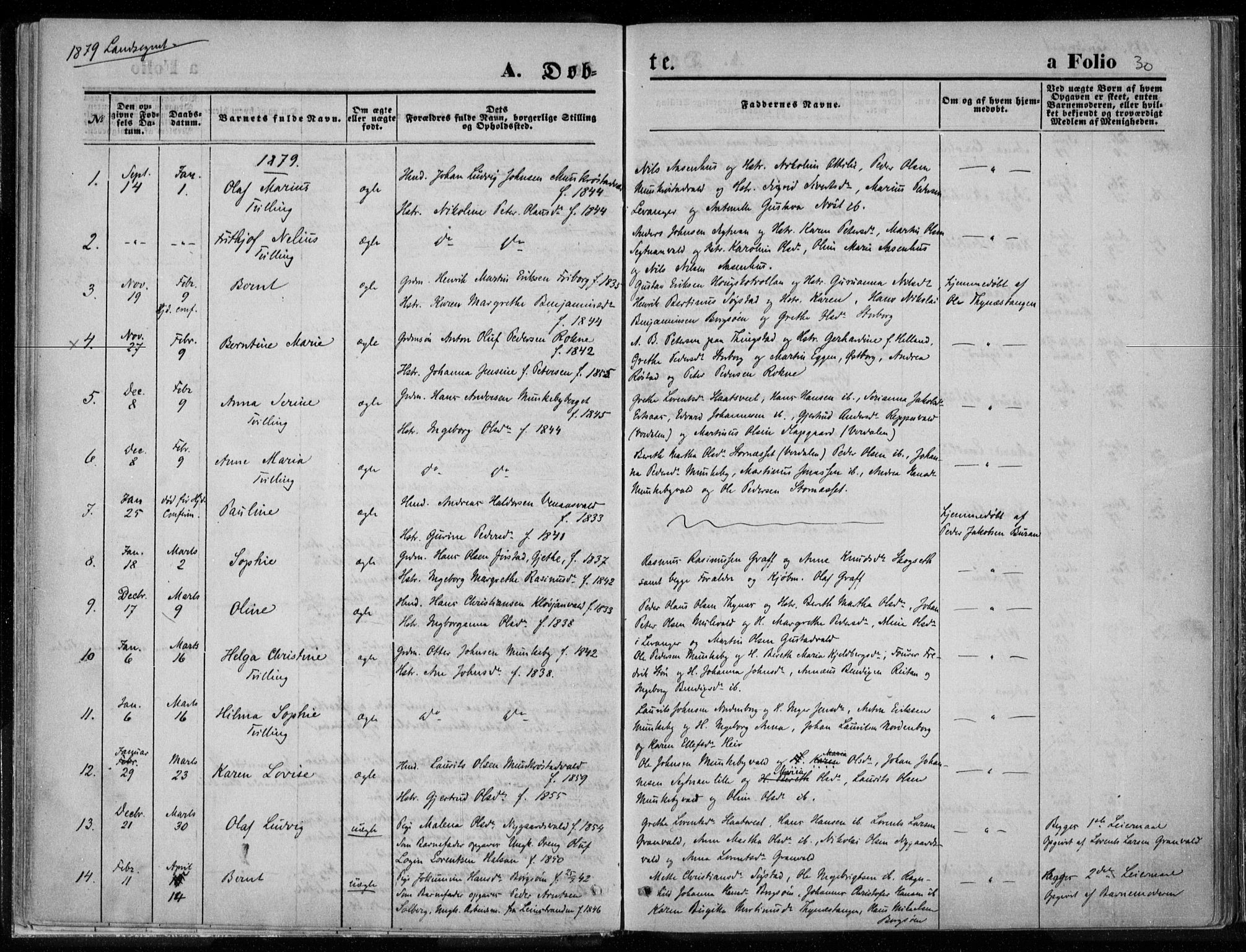 Ministerialprotokoller, klokkerbøker og fødselsregistre - Nord-Trøndelag, SAT/A-1458/720/L0187: Parish register (official) no. 720A04 /2, 1875-1879, p. 30