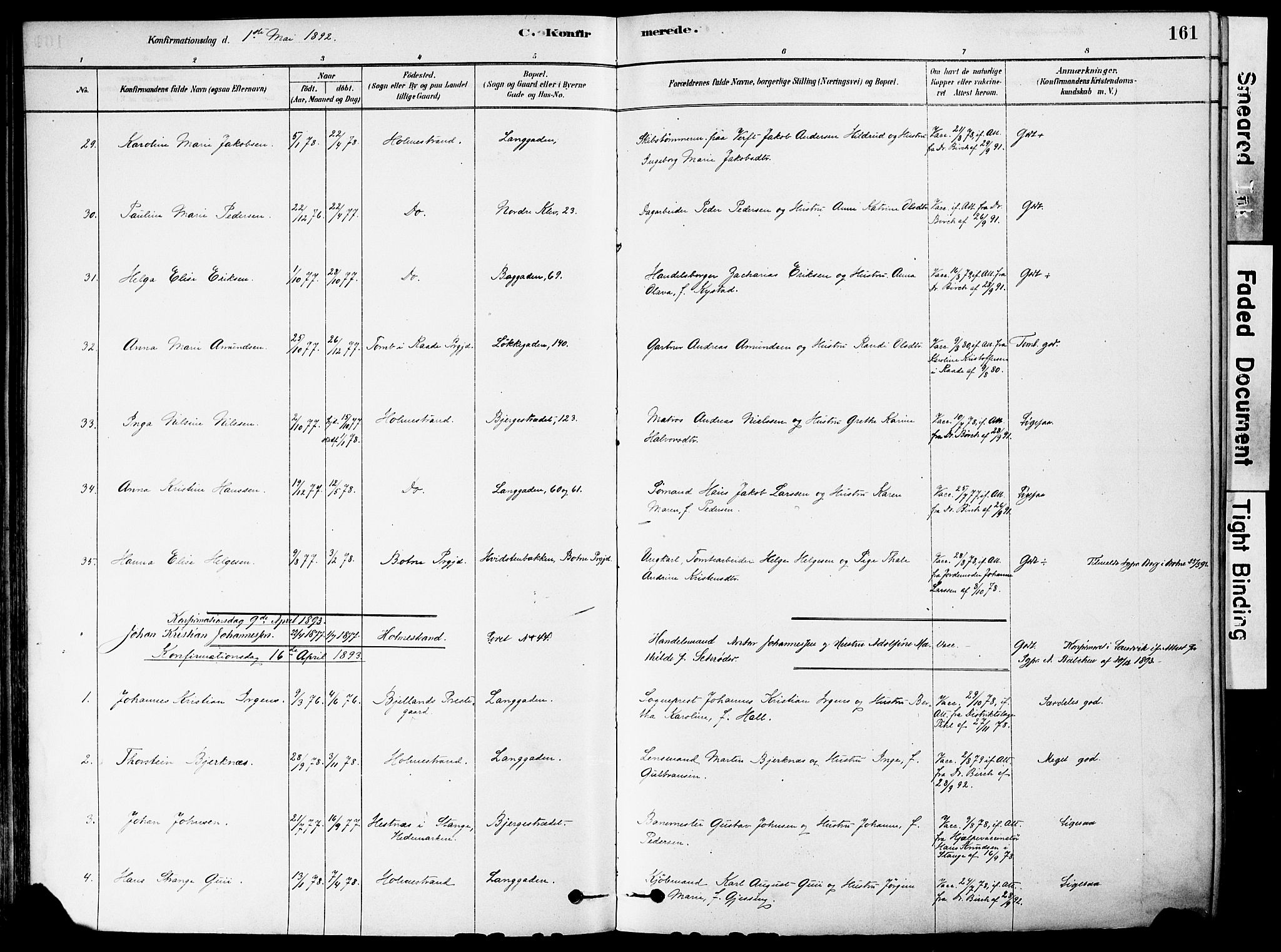 Holmestrand kirkebøker, SAKO/A-346/F/Fa/L0004: Parish register (official) no. 4, 1880-1901, p. 161