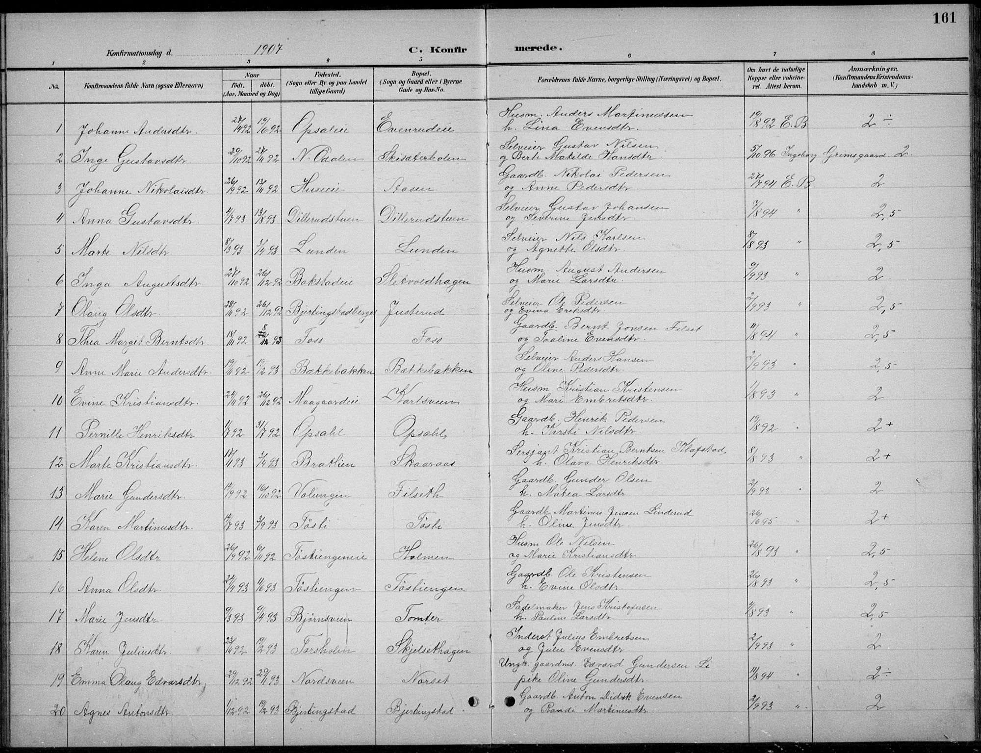 Romedal prestekontor, AV/SAH-PREST-004/L/L0013: Parish register (copy) no. 13, 1896-1937, p. 161