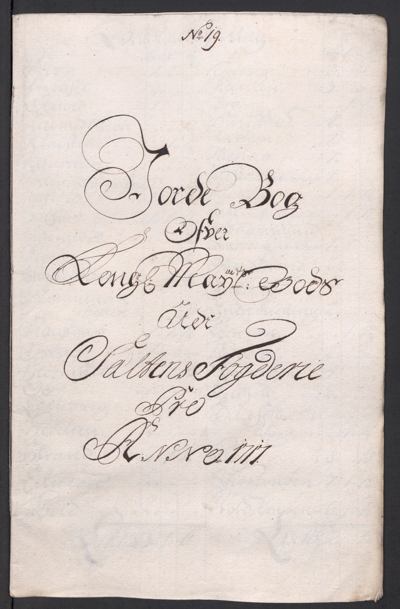 Rentekammeret inntil 1814, Reviderte regnskaper, Fogderegnskap, AV/RA-EA-4092/R66/L4587: Fogderegnskap Salten, 1717, p. 219