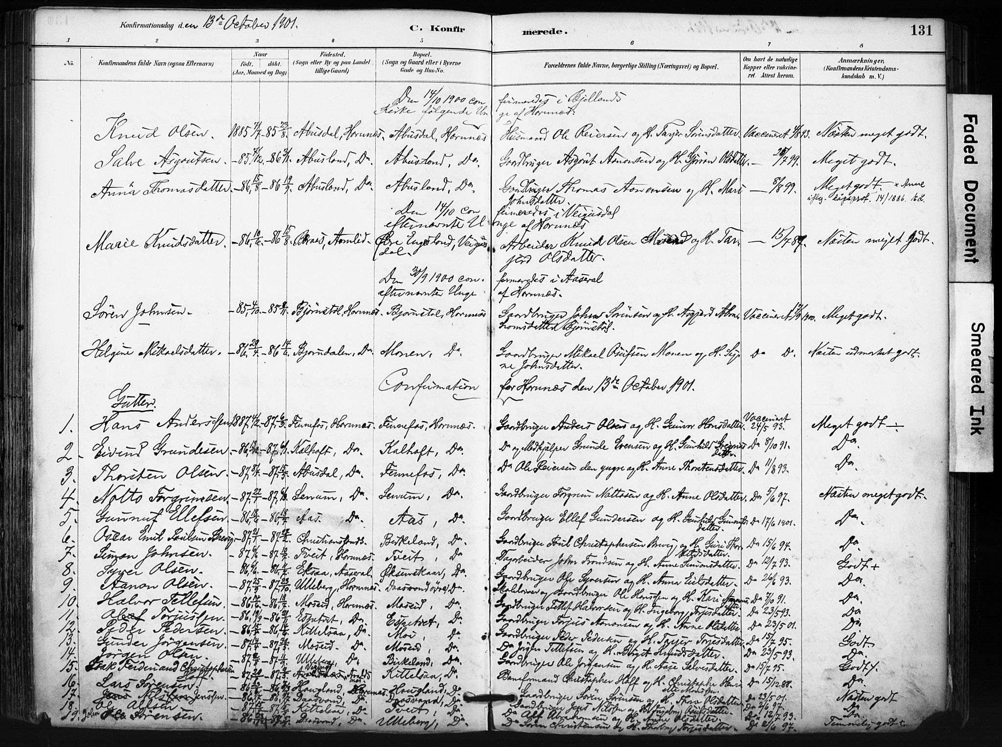 Evje sokneprestkontor, SAK/1111-0008/F/Fa/Fab/L0003: Parish register (official) no. A 3, 1884-1909, p. 131