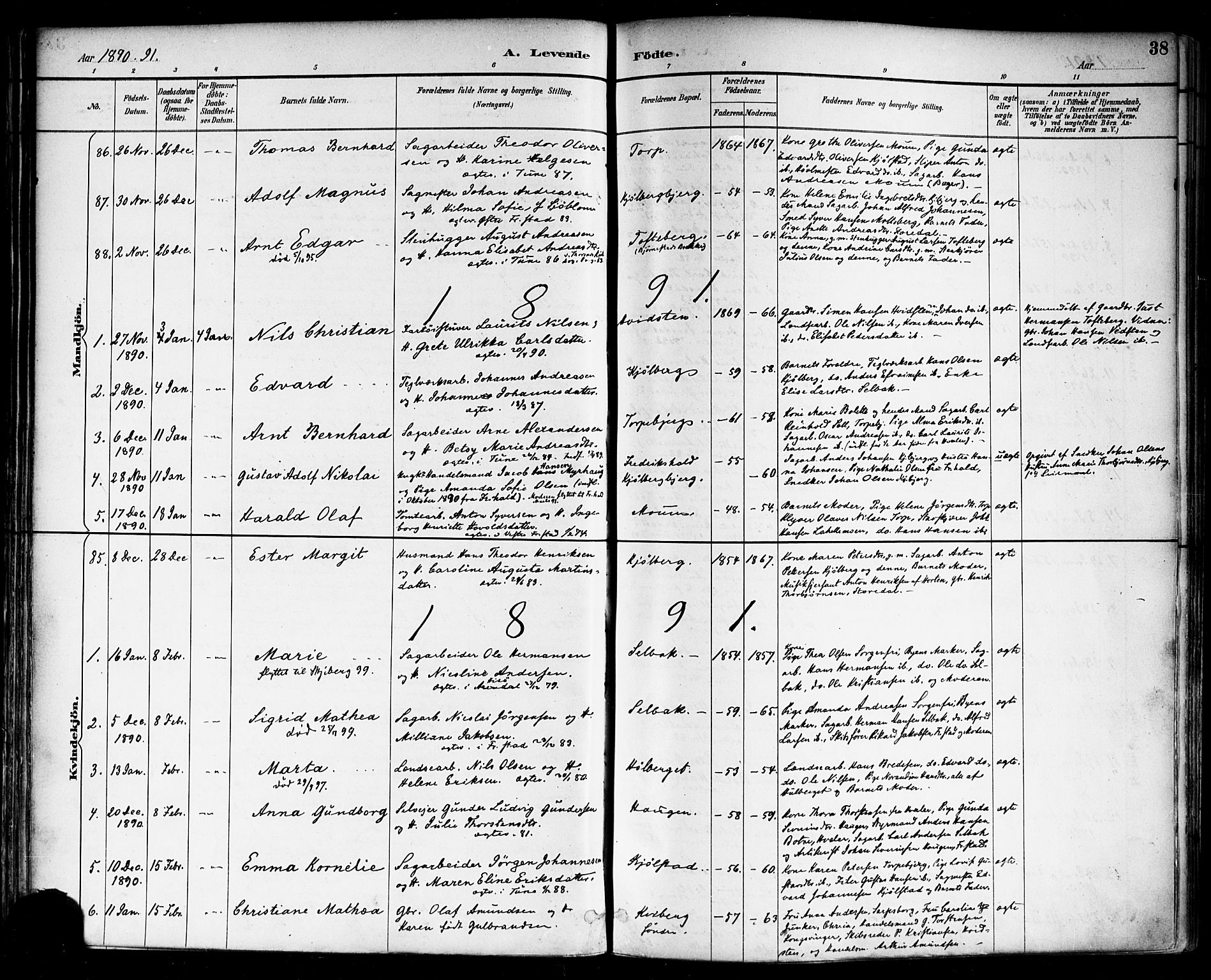 Borge prestekontor Kirkebøker, AV/SAO-A-10903/F/Fa/L0008: Parish register (official) no. I 8A, 1887-1902, p. 38