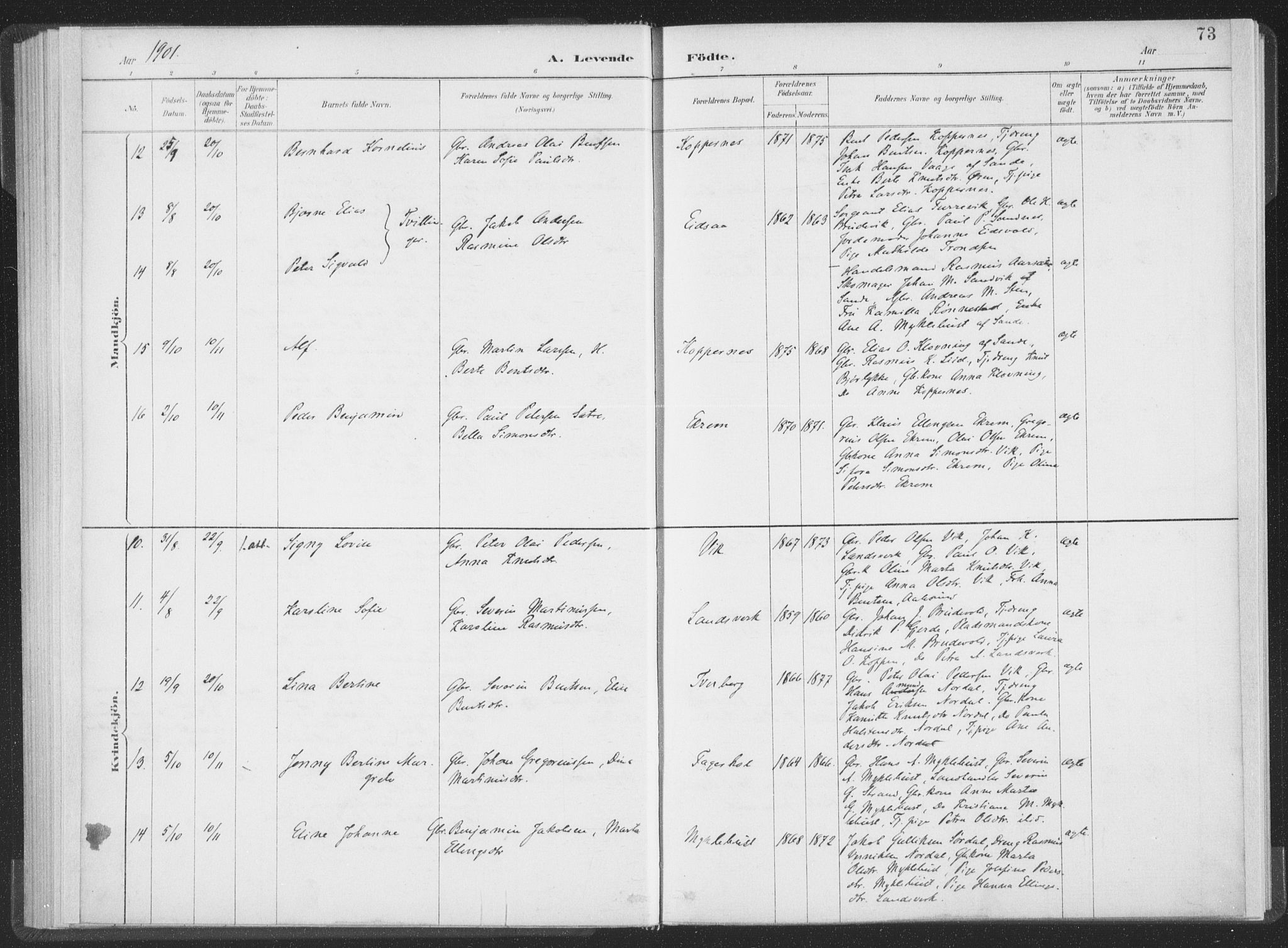 Ministerialprotokoller, klokkerbøker og fødselsregistre - Møre og Romsdal, AV/SAT-A-1454/502/L0025: Parish register (official) no. 502A03, 1885-1909, p. 73