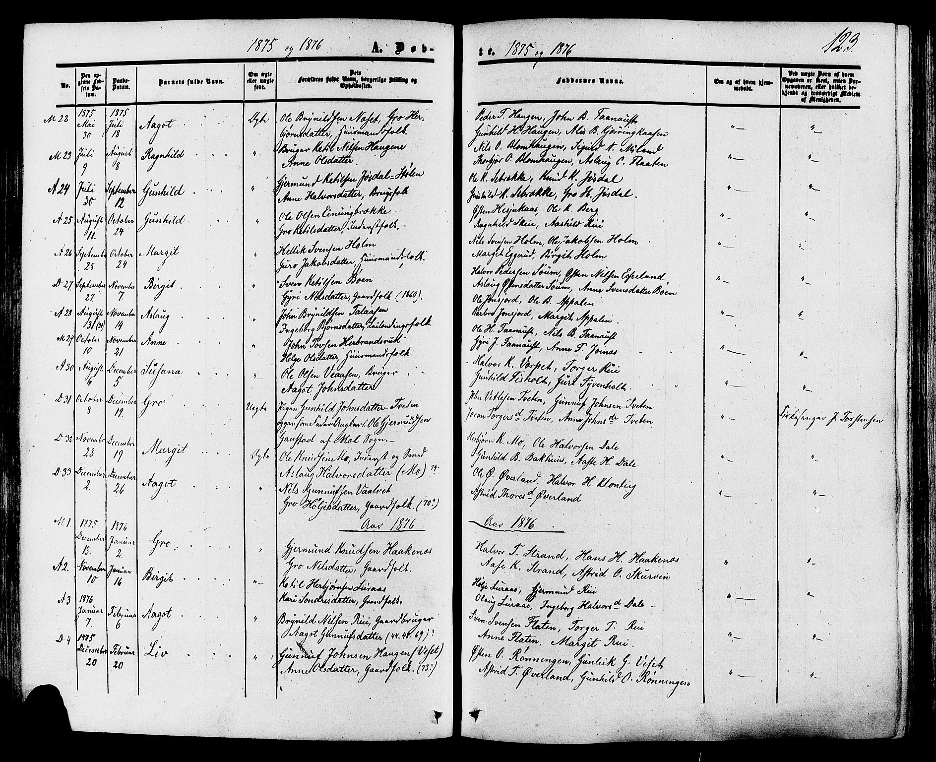 Tinn kirkebøker, SAKO/A-308/F/Fa/L0006: Parish register (official) no. I 6, 1857-1878, p. 123