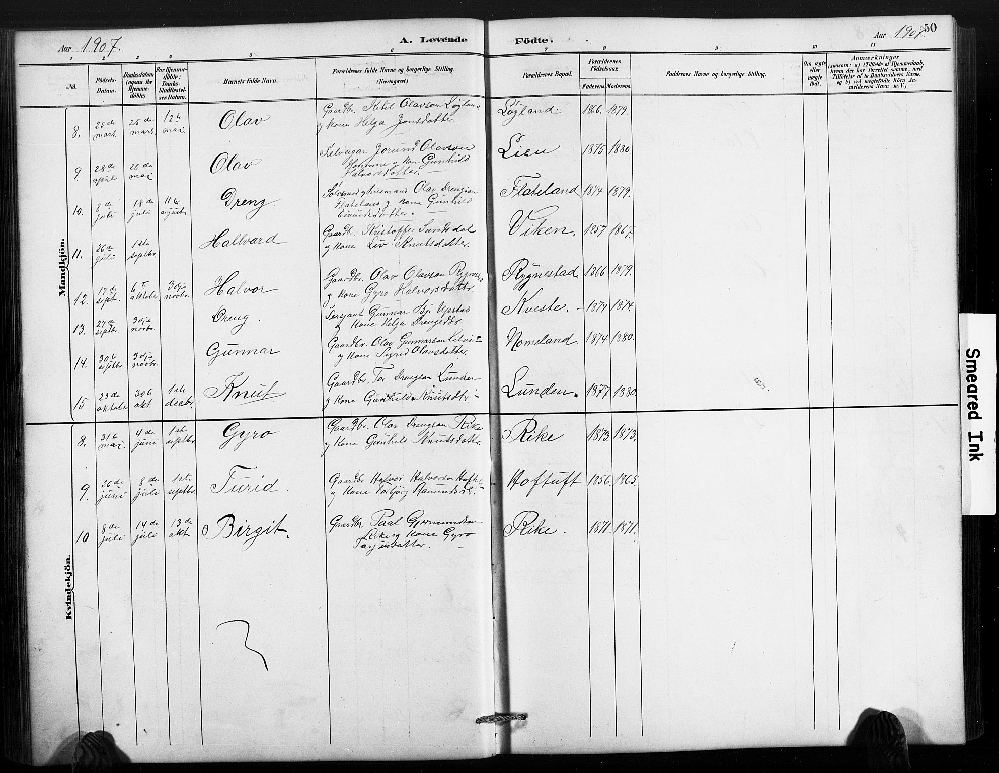 Valle sokneprestkontor, AV/SAK-1111-0044/F/Fb/Fbc/L0004: Parish register (copy) no. B 4, 1890-1928, p. 50