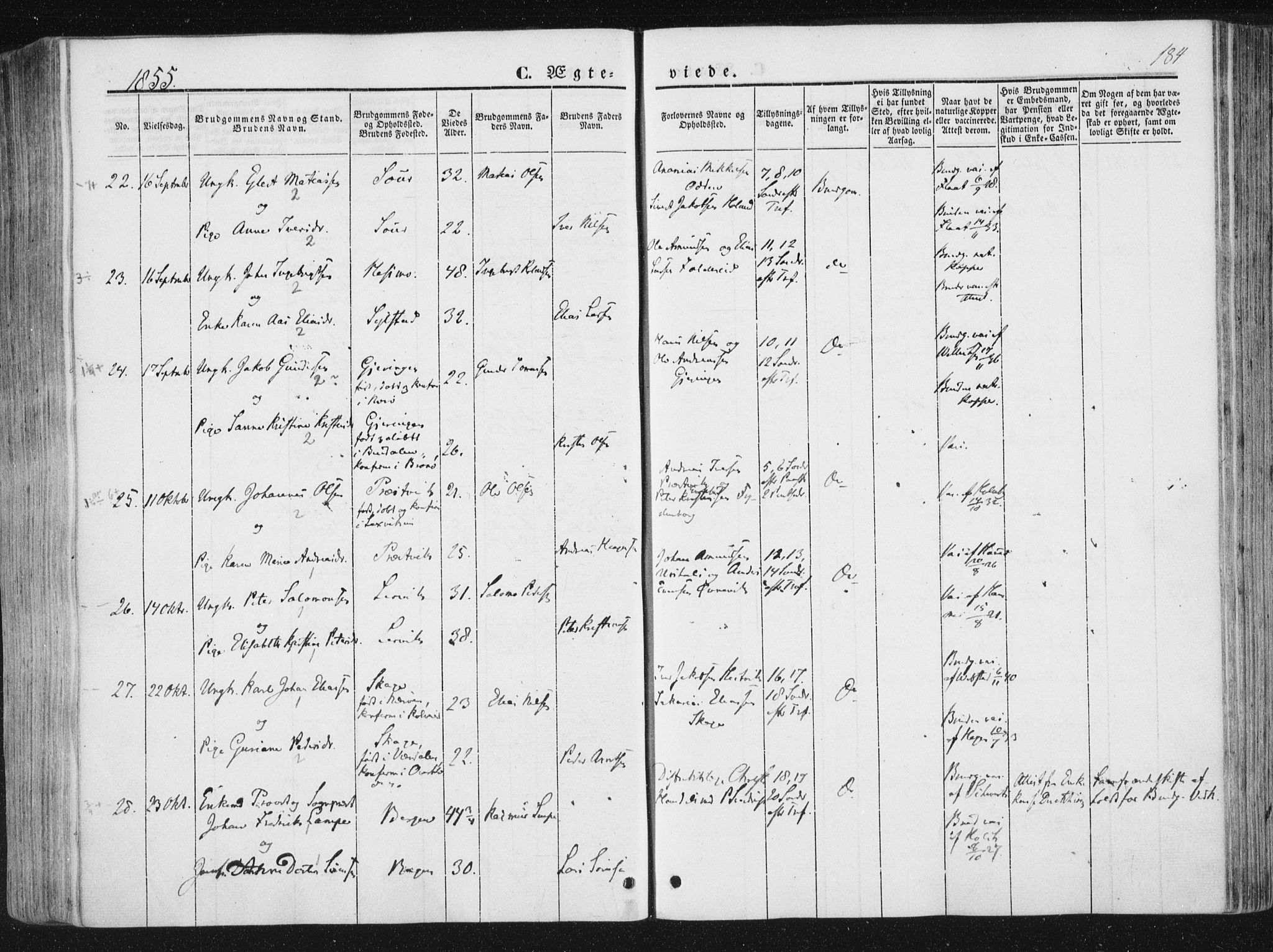 Ministerialprotokoller, klokkerbøker og fødselsregistre - Nord-Trøndelag, AV/SAT-A-1458/780/L0640: Parish register (official) no. 780A05, 1845-1856, p. 184