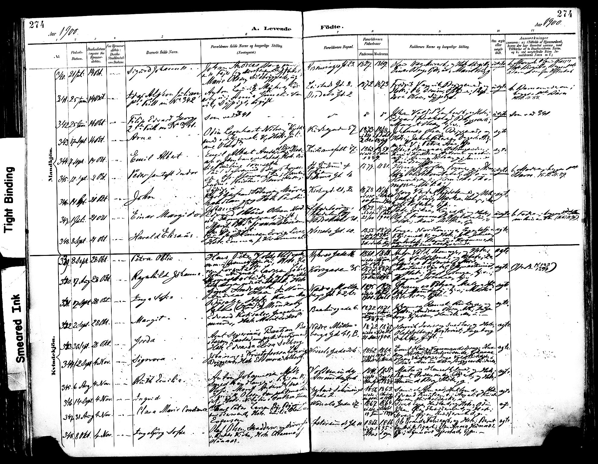 Ministerialprotokoller, klokkerbøker og fødselsregistre - Sør-Trøndelag, SAT/A-1456/604/L0197: Parish register (official) no. 604A18, 1893-1900, p. 274
