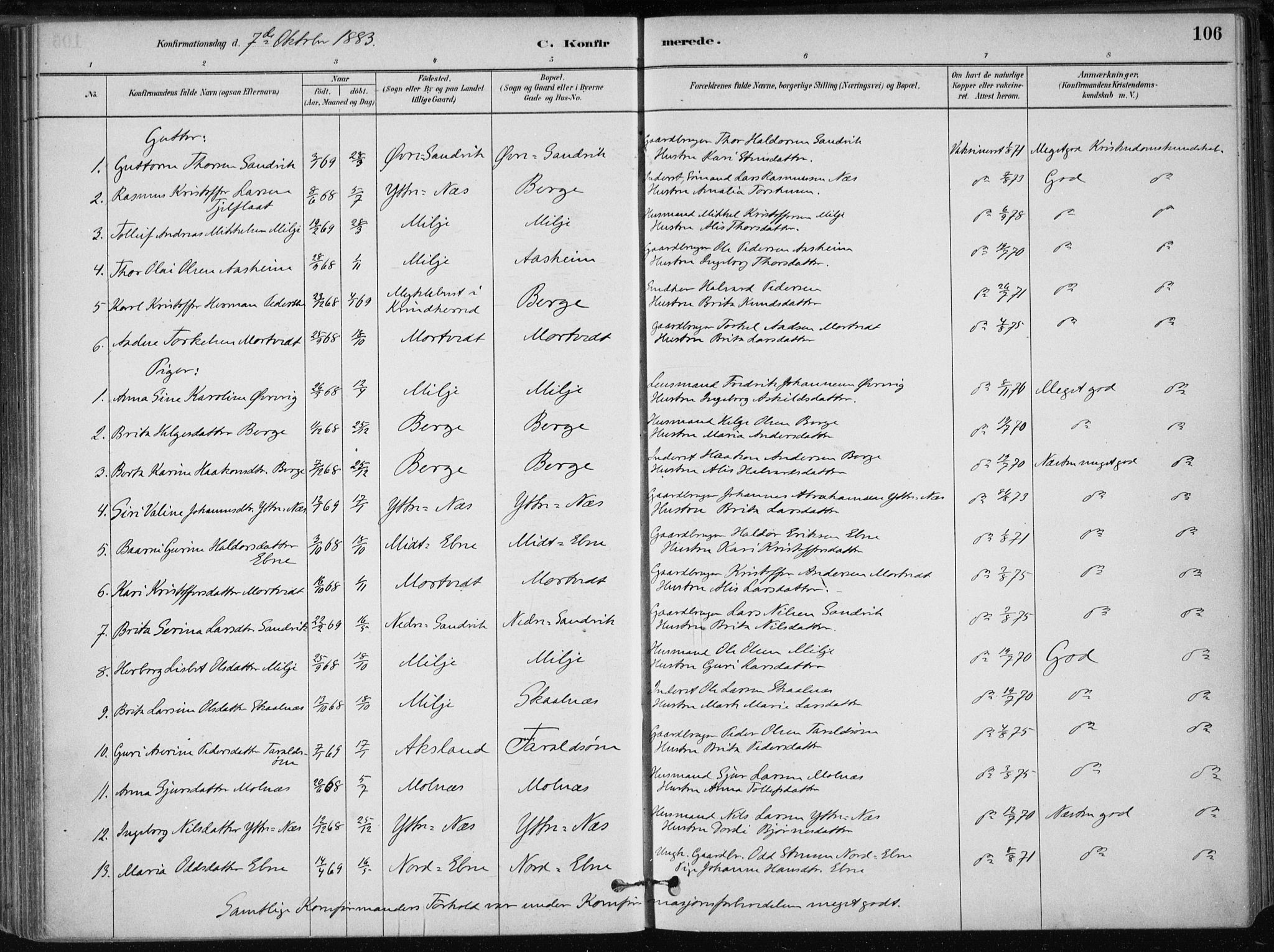Skånevik sokneprestembete, SAB/A-77801/H/Haa: Parish register (official) no. B 1, 1879-1914, p. 106