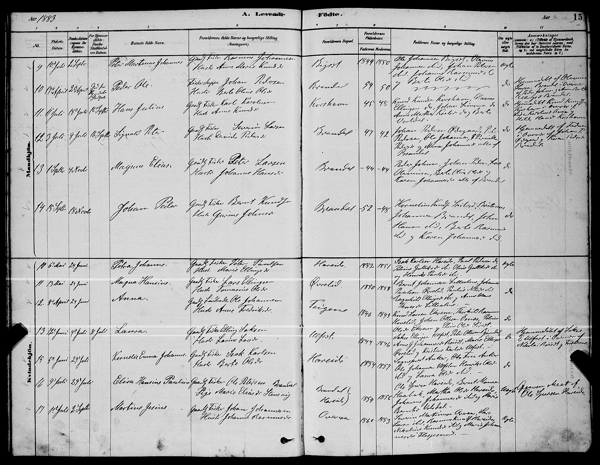 Ministerialprotokoller, klokkerbøker og fødselsregistre - Møre og Romsdal, AV/SAT-A-1454/510/L0125: Parish register (copy) no. 510C02, 1878-1900, p. 15