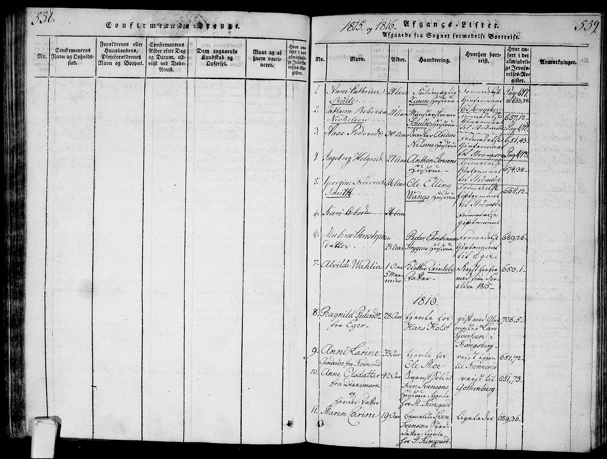 Bragernes kirkebøker, AV/SAKO-A-6/G/Ga/L0001: Parish register (copy) no. 1, 1815-1829, p. 558-559