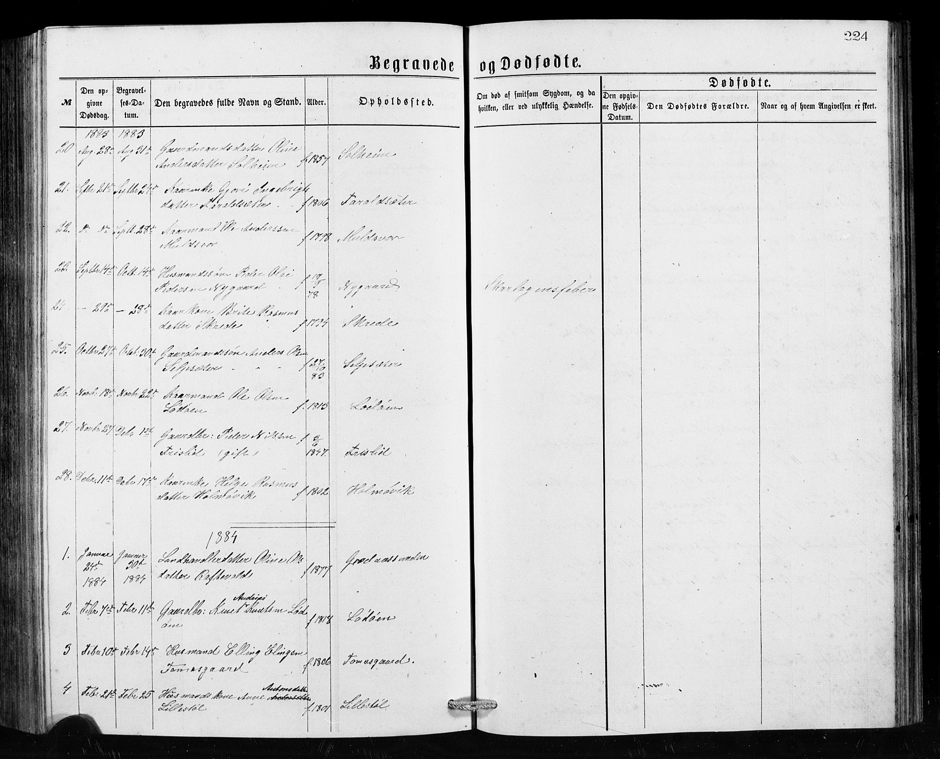 Hornindal sokneprestembete, SAB/A-82401/H/Hab: Parish register (copy) no. A 1, 1876-1894, p. 224