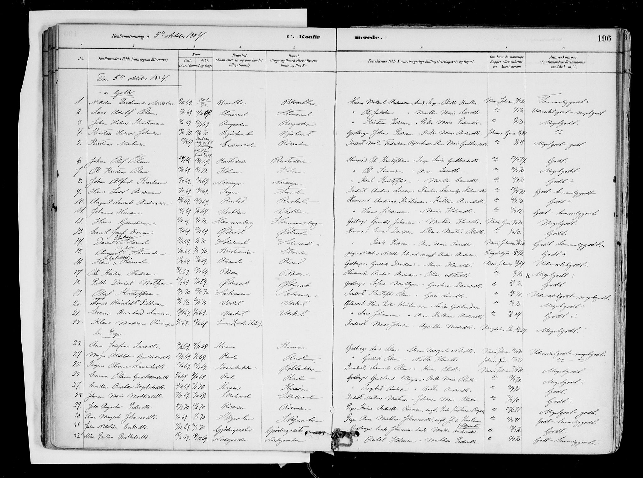 Hurdal prestekontor Kirkebøker, SAO/A-10889/F/Fa/L0007: Parish register (official) no. I 7, 1878-1906, p. 196