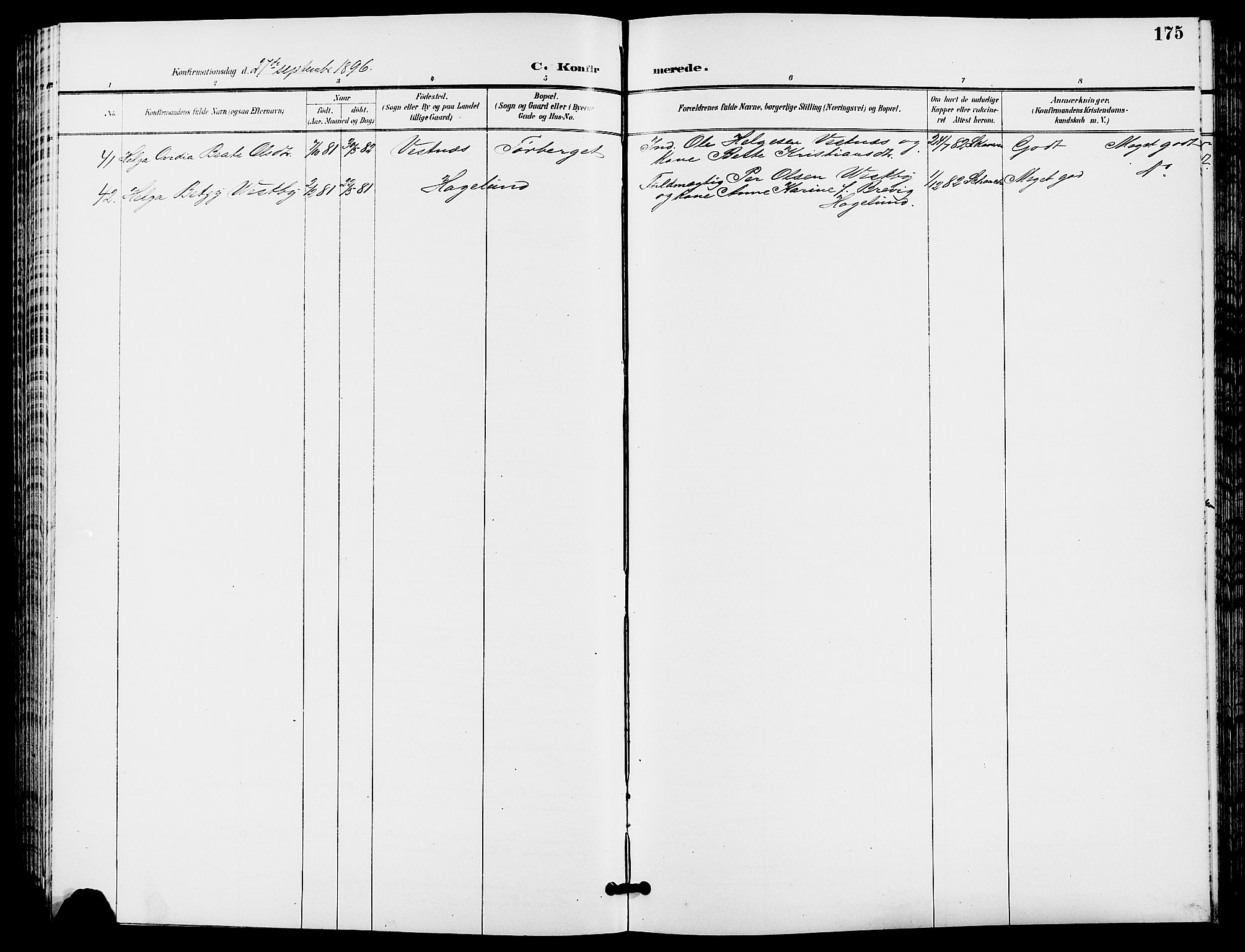 Trysil prestekontor, SAH/PREST-046/H/Ha/Hab/L0006: Parish register (copy) no. 6, 1896-1912, p. 175