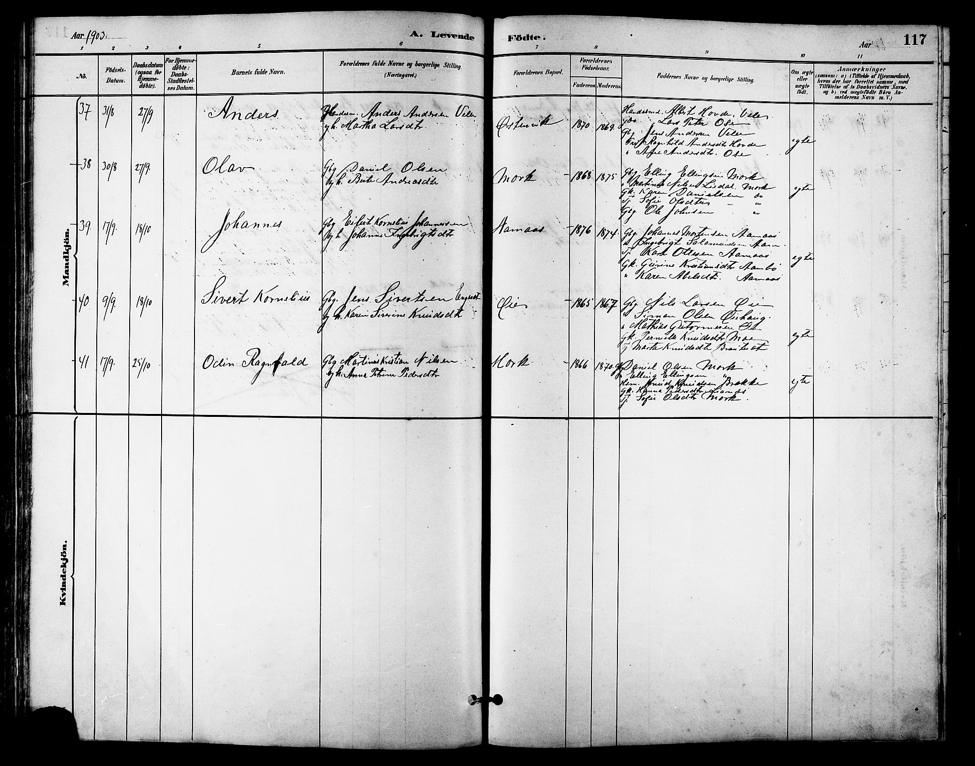 Ministerialprotokoller, klokkerbøker og fødselsregistre - Møre og Romsdal, AV/SAT-A-1454/513/L0189: Parish register (copy) no. 513C03, 1883-1904, p. 117