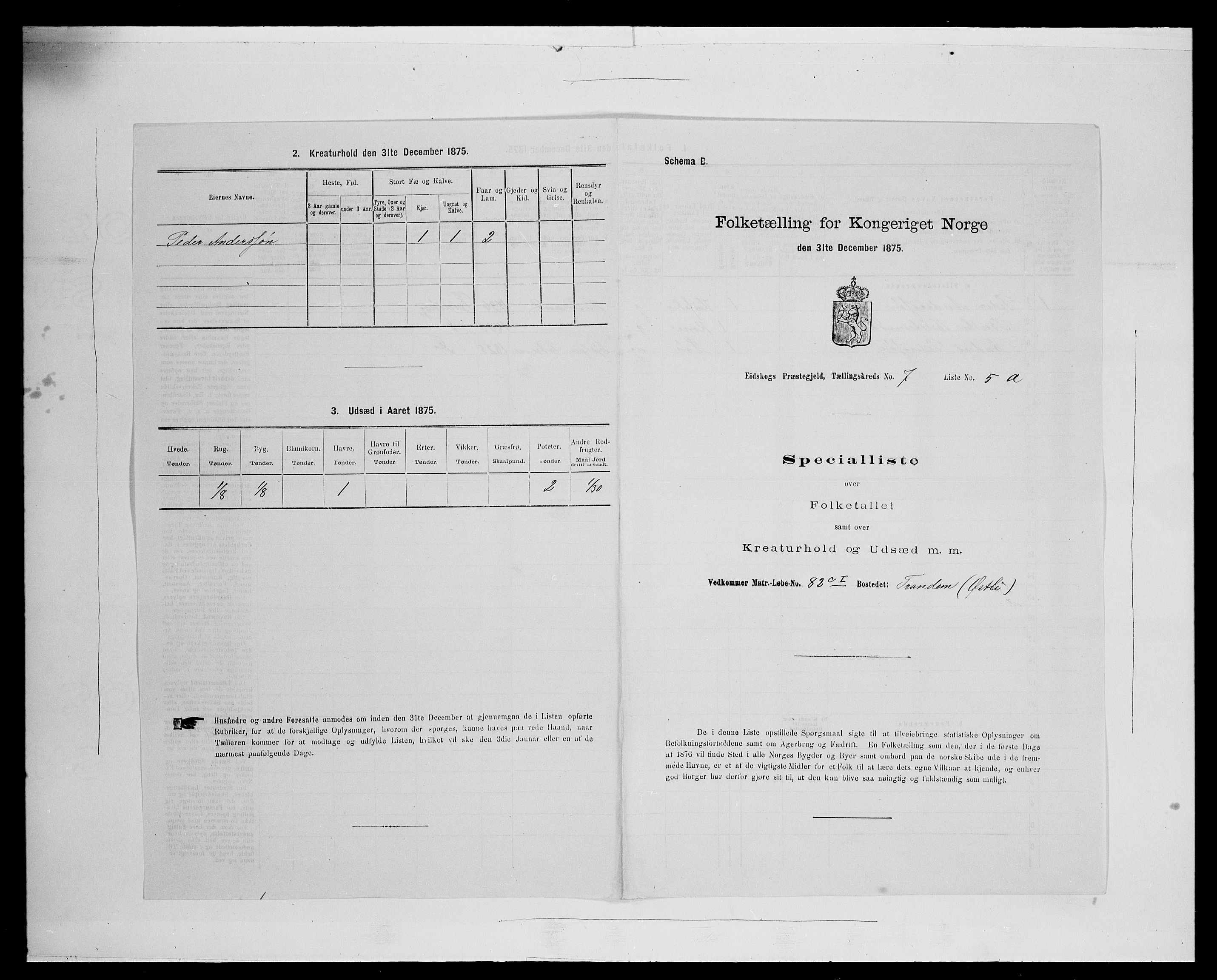 SAH, 1875 census for 0420P Eidskog, 1875, p. 1242