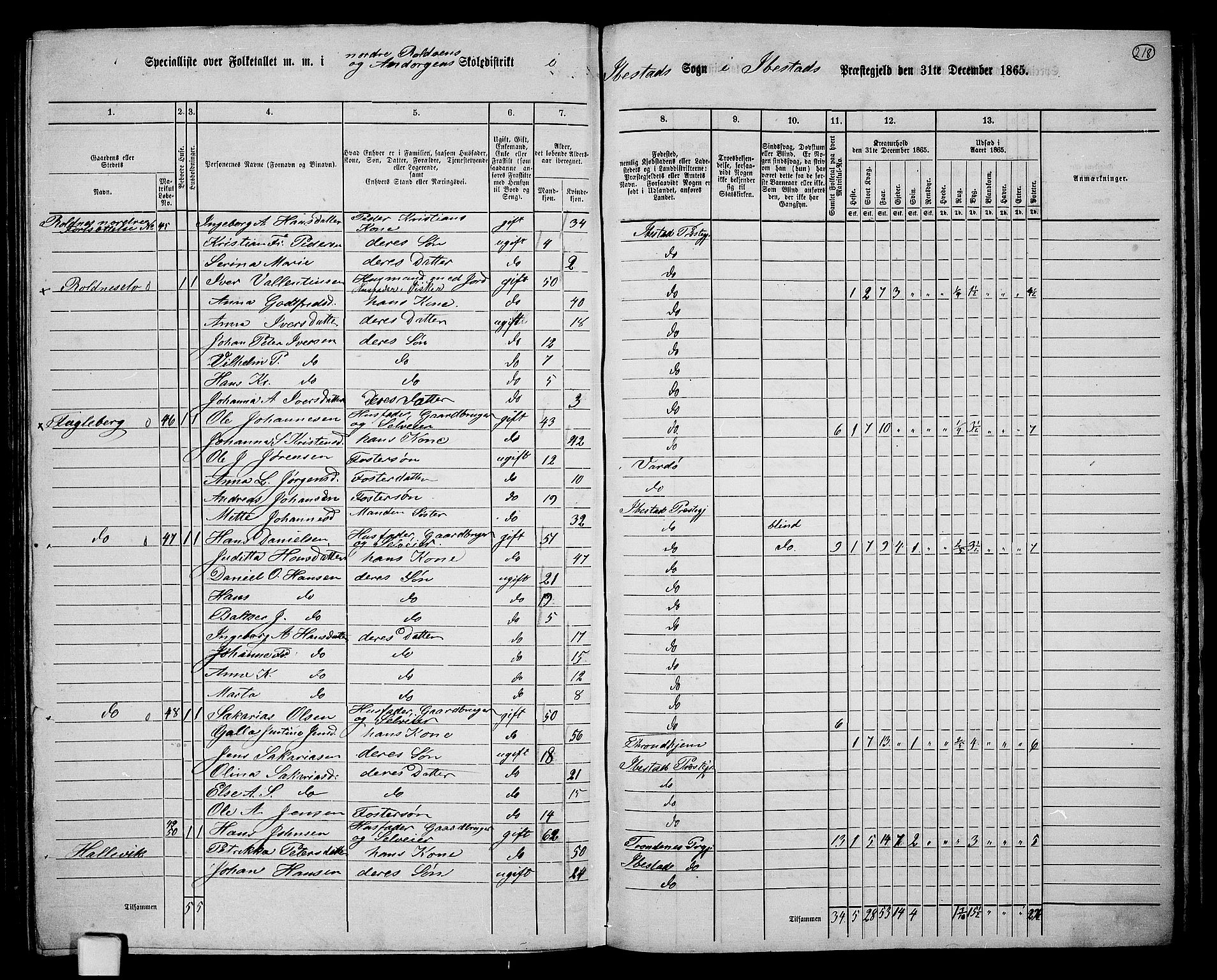 RA, 1865 census for Ibestad, 1865, p. 203