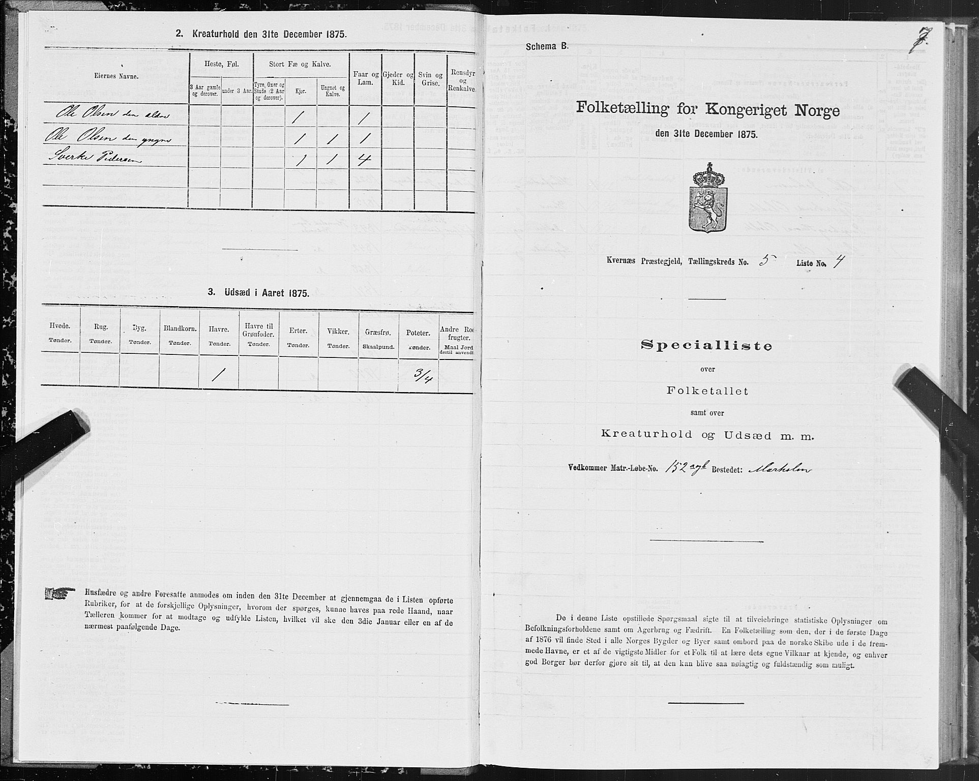 SAT, 1875 census for 1553P Kvernes, 1875, p. 3007