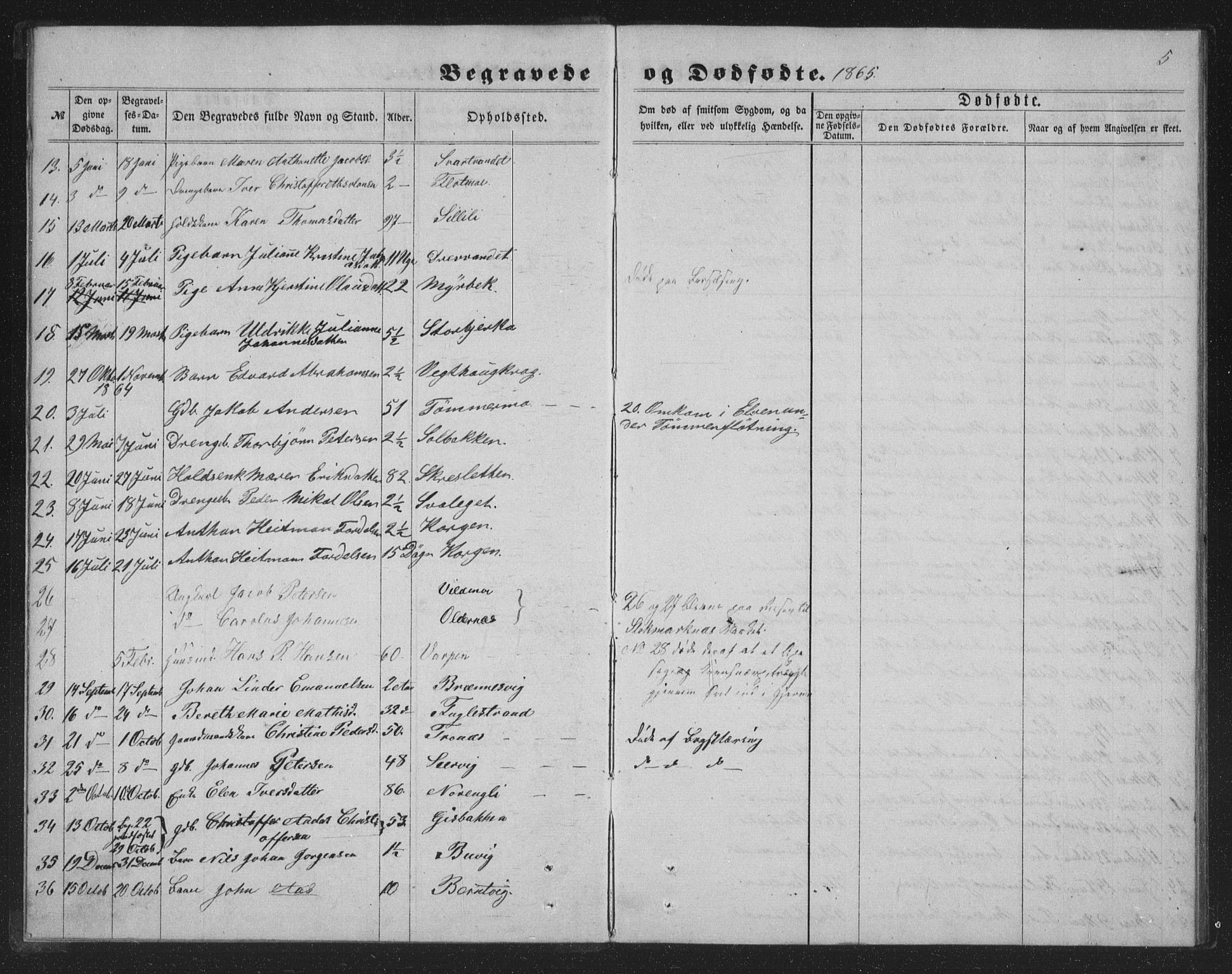 Ministerialprotokoller, klokkerbøker og fødselsregistre - Nordland, AV/SAT-A-1459/825/L0368: Parish register (copy) no. 825C05, 1863-1887, p. 5