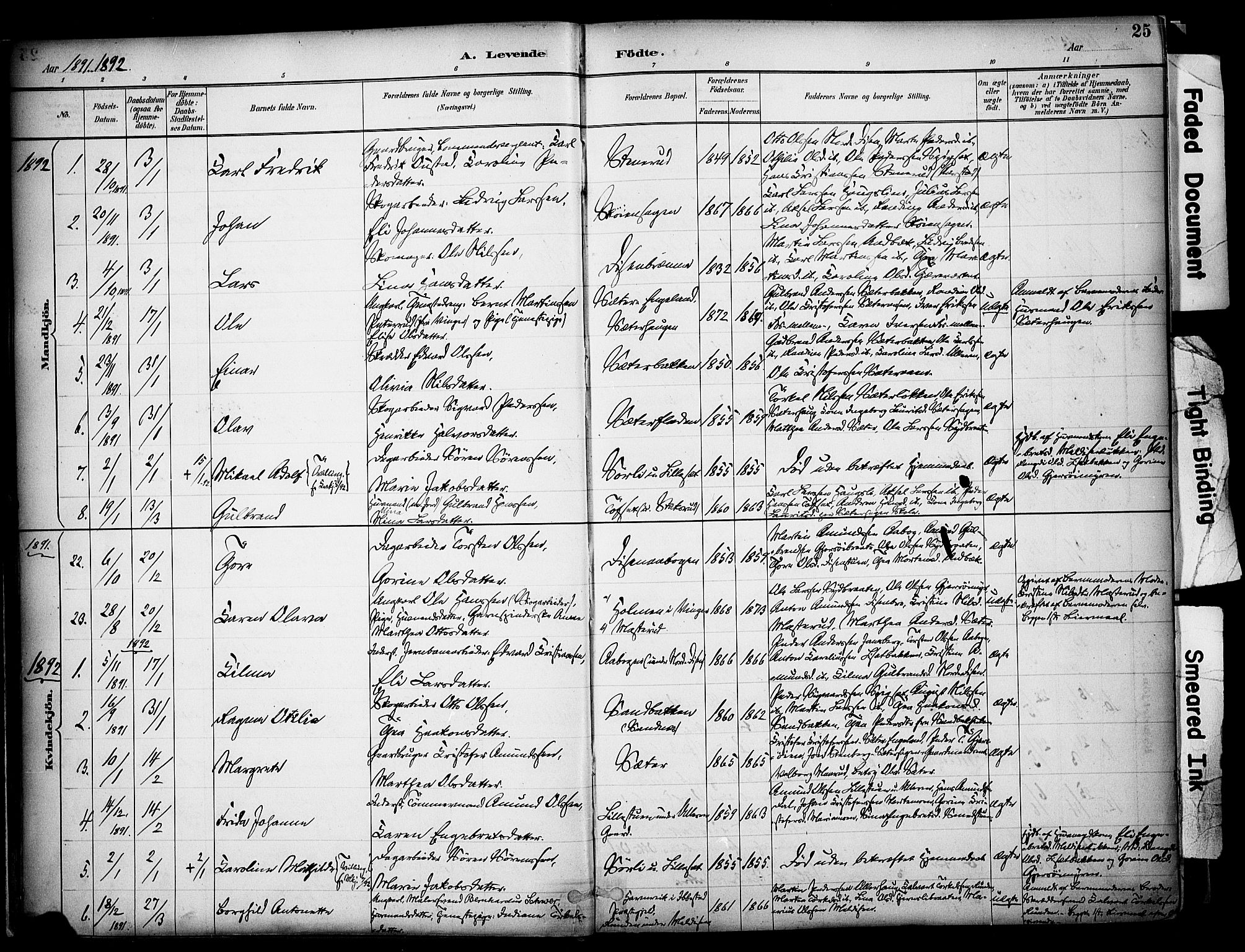 Sør-Odal prestekontor, AV/SAH-PREST-030/H/Ha/Haa/L0008: Parish register (official) no. 8, 1886-1922, p. 25