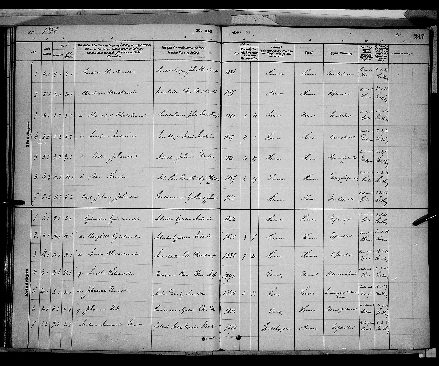 Vang prestekontor, Hedmark, AV/SAH-PREST-008/H/Ha/Haa/L0016: Parish register (official) no. 16, 1878-1889, p. 247