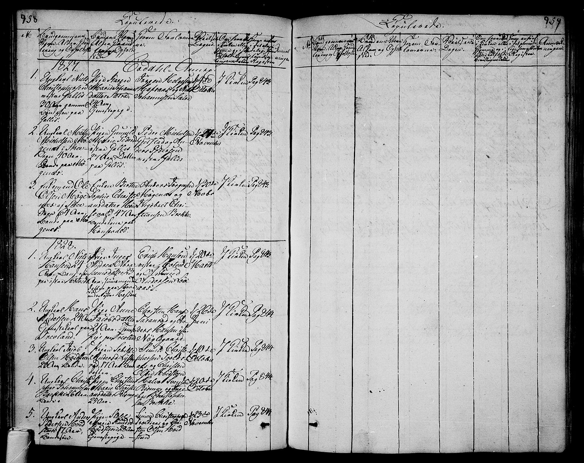 Andebu kirkebøker, SAKO/A-336/F/Fa/L0003: Parish register (official) no. 3 /3, 1815-1828, p. 458-459