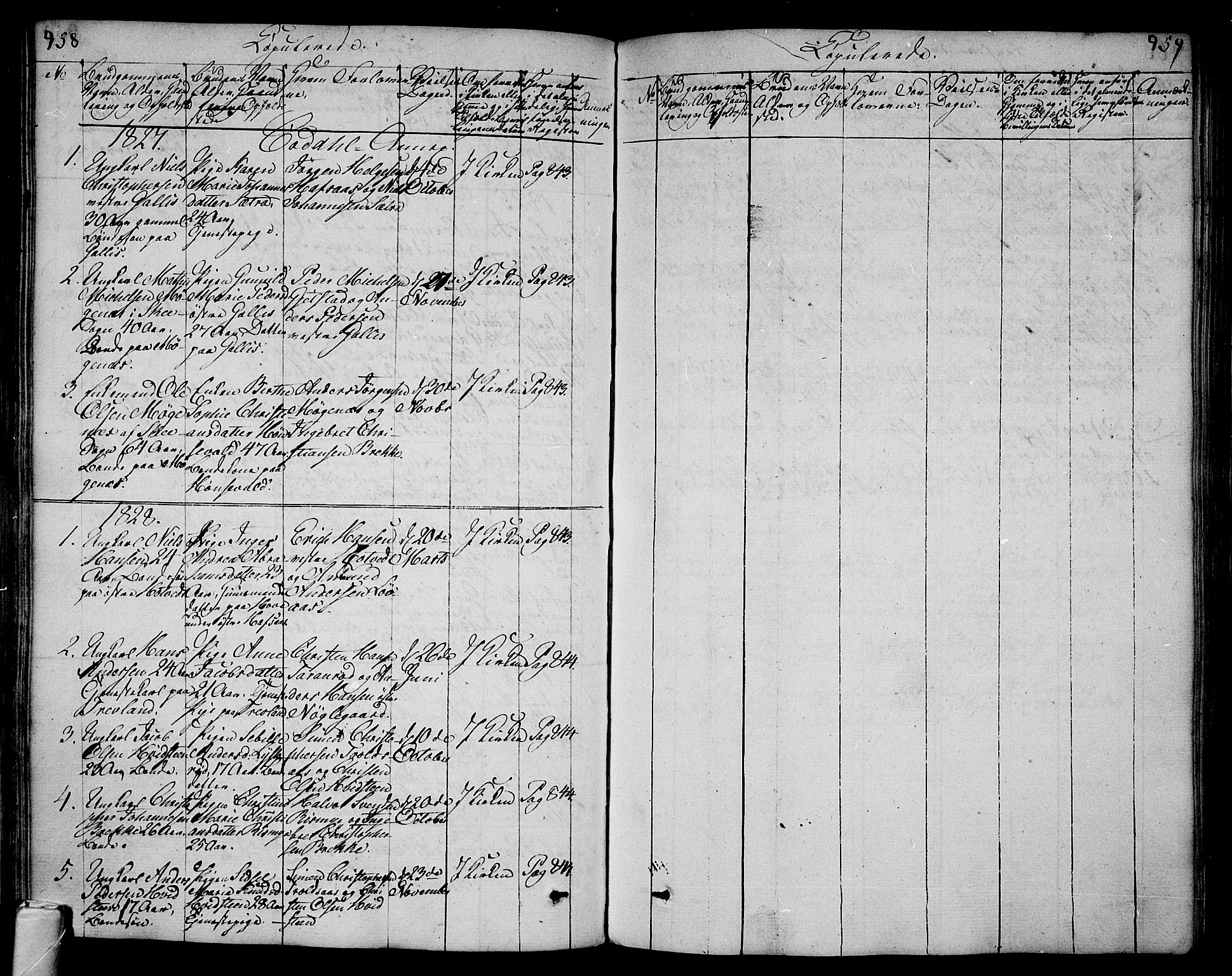 Andebu kirkebøker, AV/SAKO-A-336/F/Fa/L0003: Parish register (official) no. I 3 /3, 1815-1828, p. 458-459