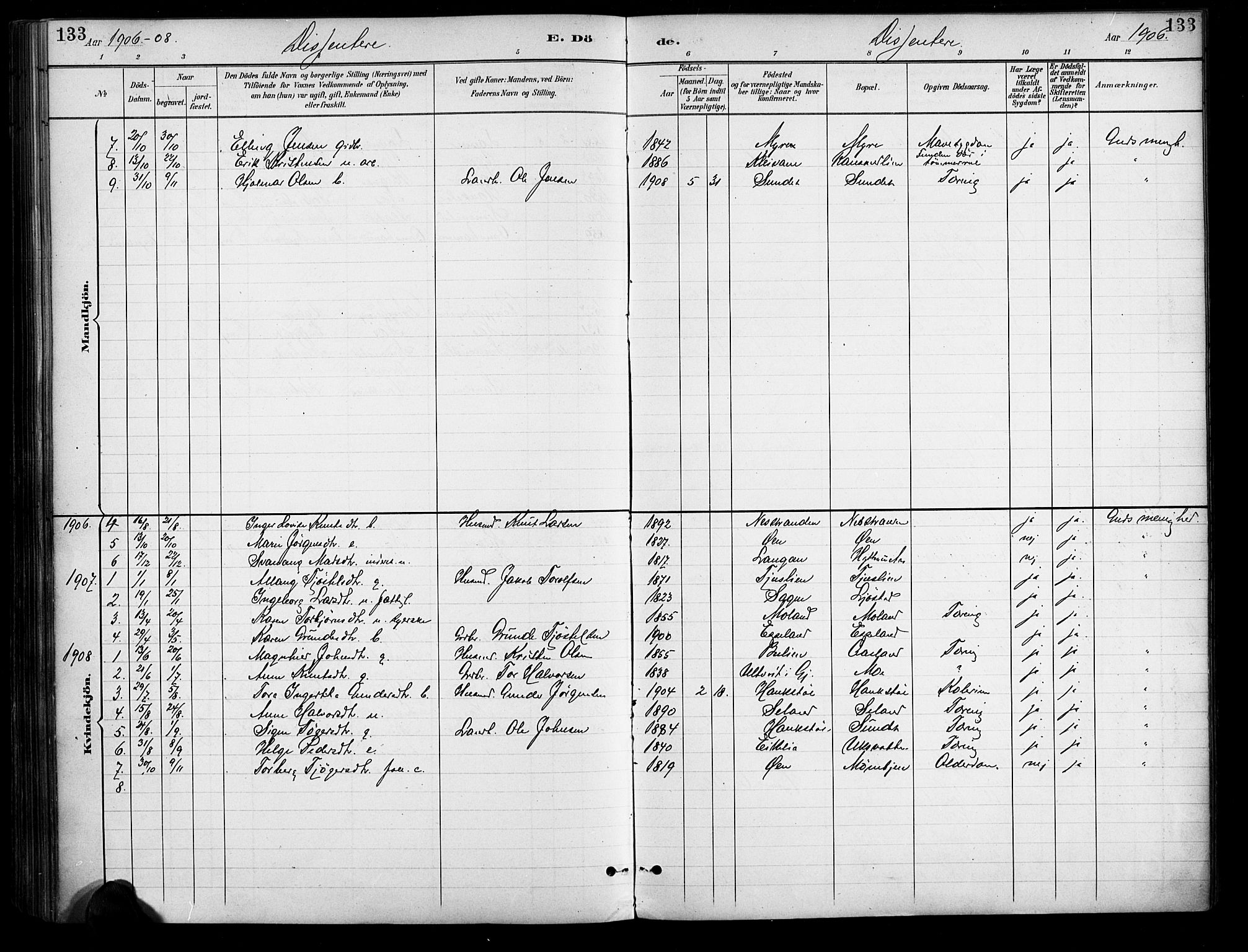 Gjerstad sokneprestkontor, SAK/1111-0014/F/Fa/Fab/L0005: Parish register (official) no. A 5, 1891-1908, p. 133