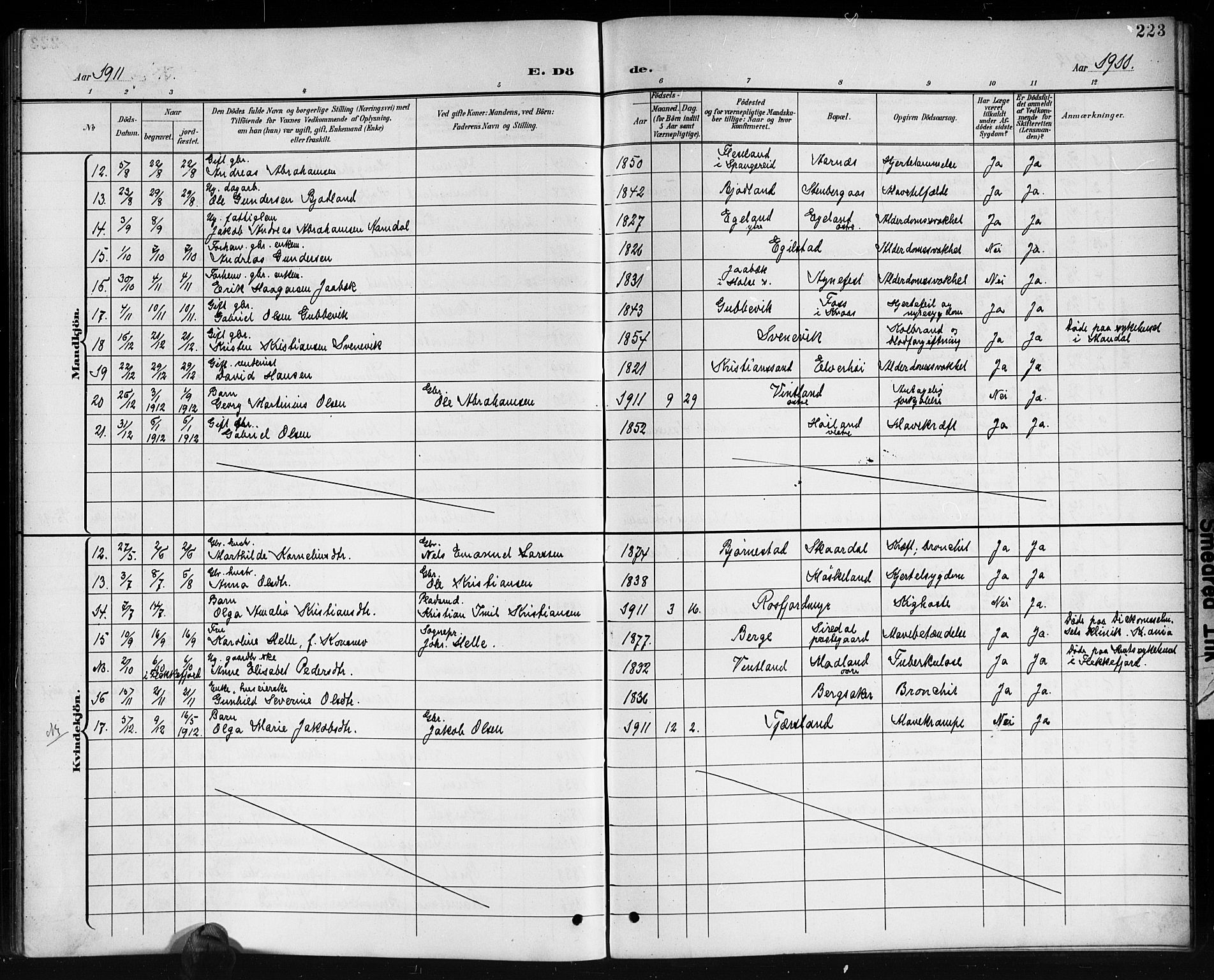 Lyngdal sokneprestkontor, AV/SAK-1111-0029/F/Fb/Fbc/L0005: Parish register (copy) no. B 5, 1897-1913, p. 223