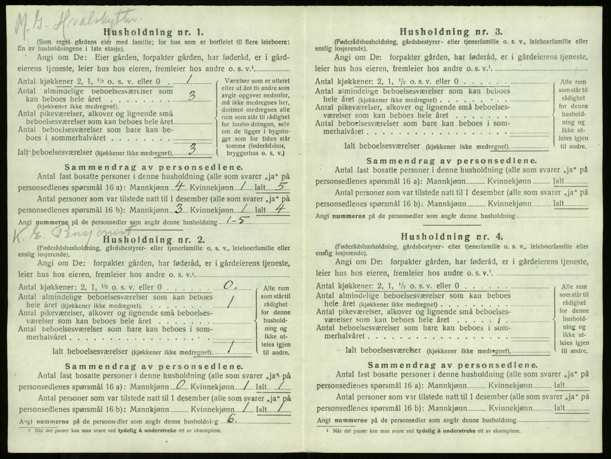SAKO, 1920 census for Stokke, 1920, p. 1006