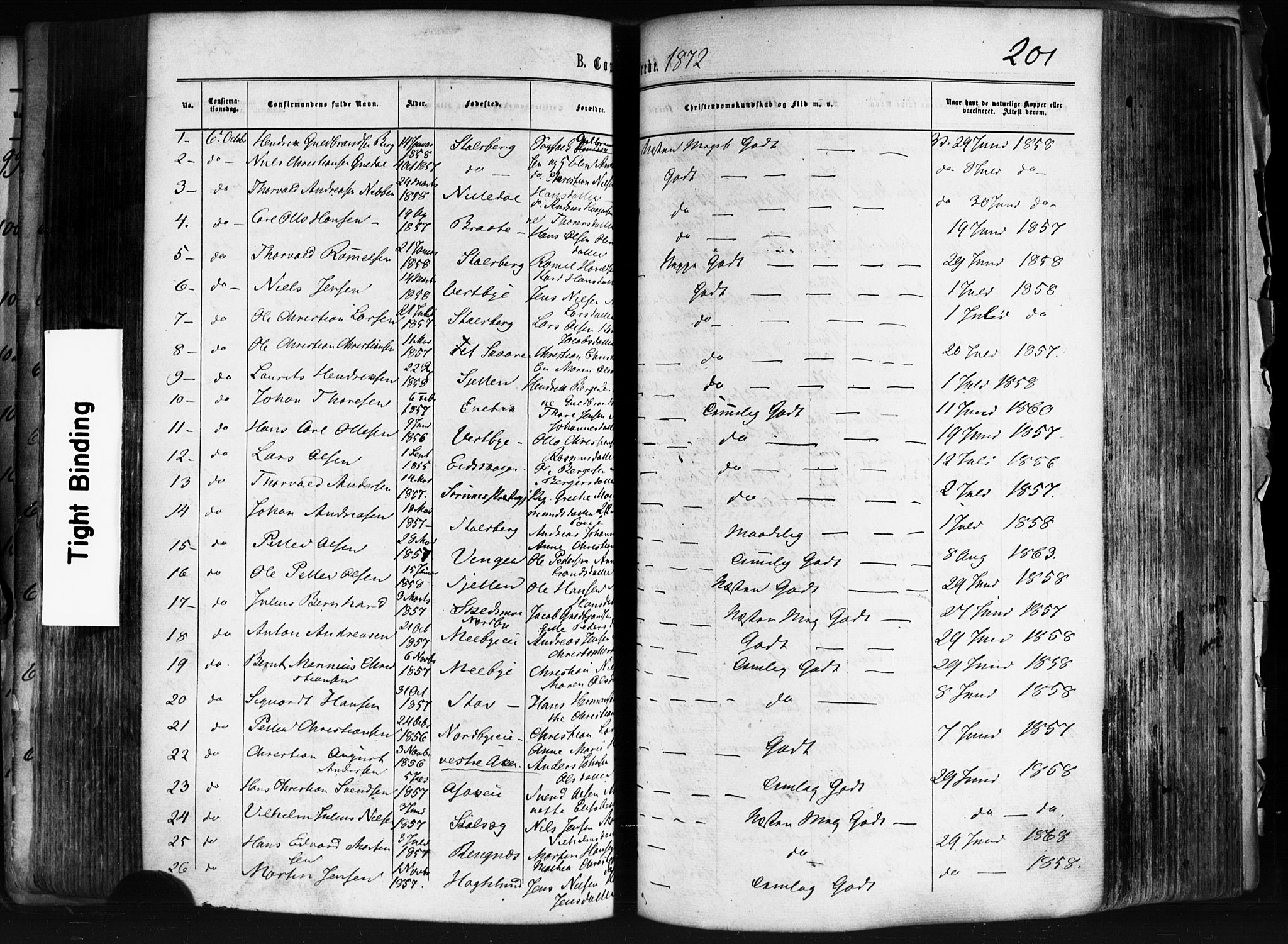 Skedsmo prestekontor Kirkebøker, AV/SAO-A-10033a/F/Fa/L0011: Parish register (official) no. I 11, 1866-1876, p. 201