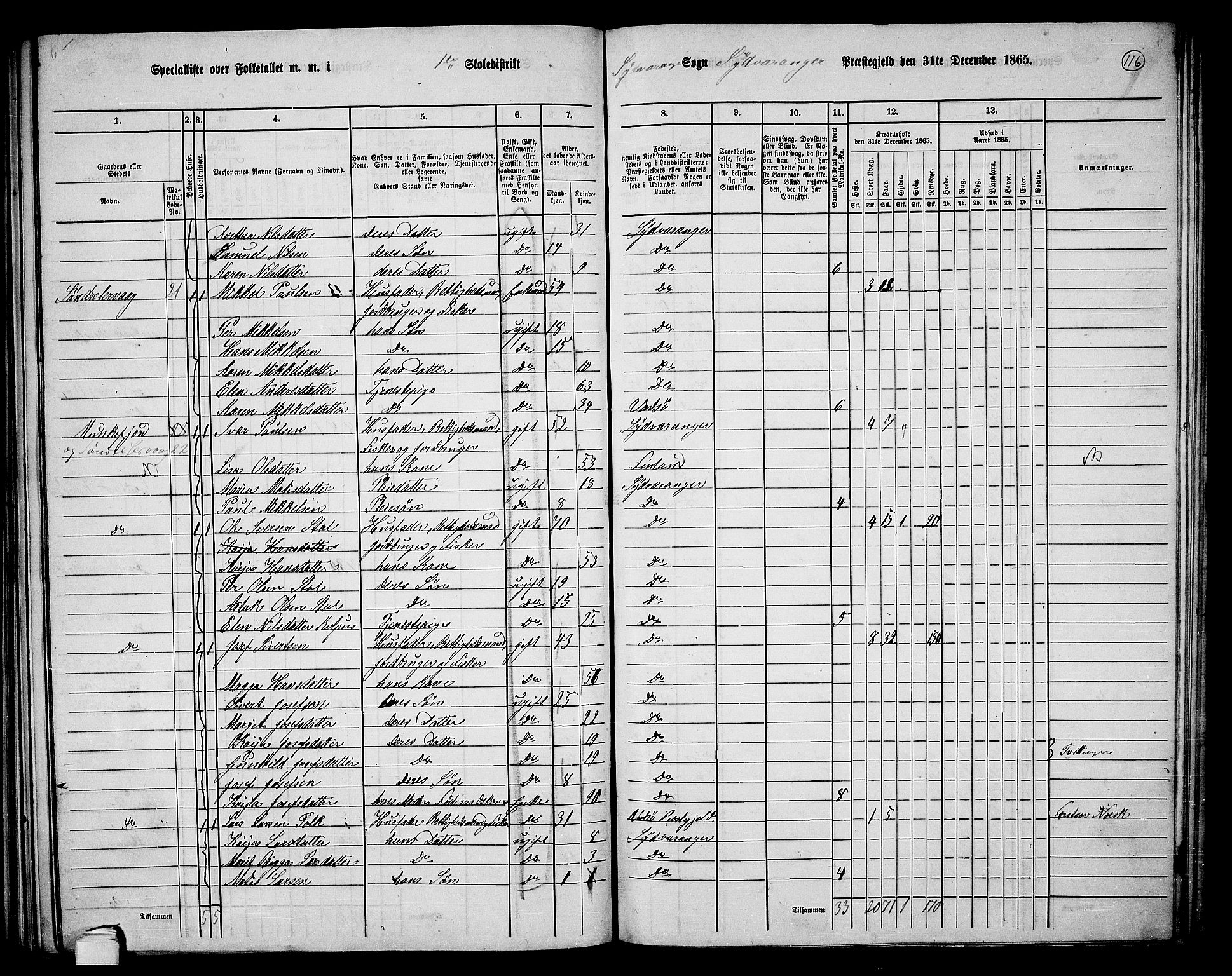 RA, 1865 census for Sør-Varanger, 1865, p. 19